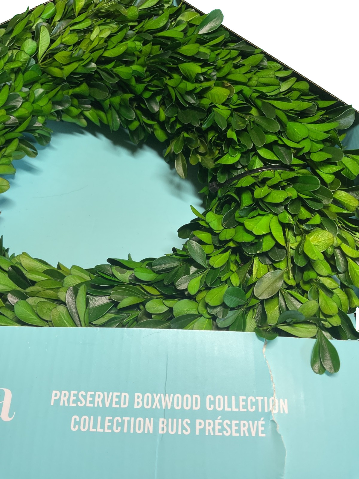 MARTHA STEWART Preserved Boxwood Wreath 12 INCHES NIB