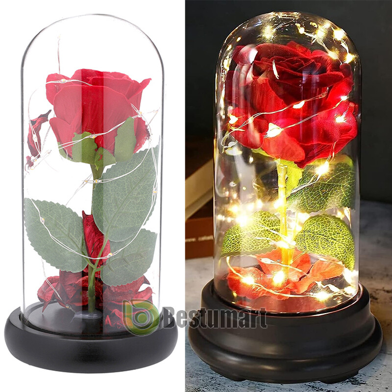 Eternal Rose Eternal Flower LED Glass Light Anniversaries Valentine Gift for Her
