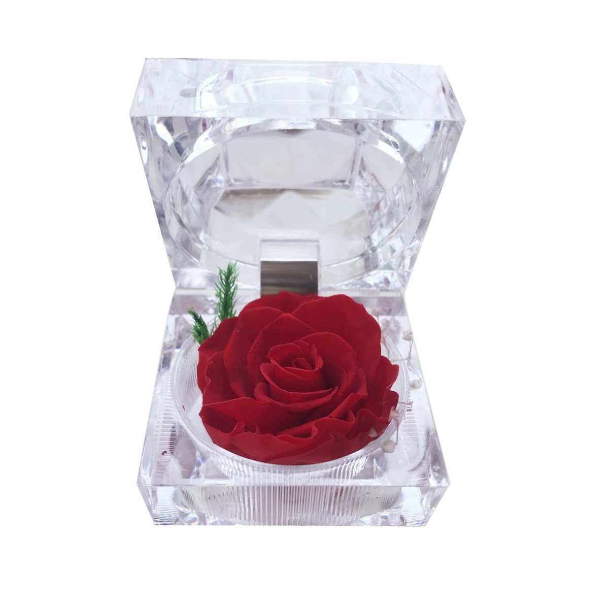 Preserved Rose Real Forever Rose in Mini Clear Ring Box, Eternal Flower Rose …