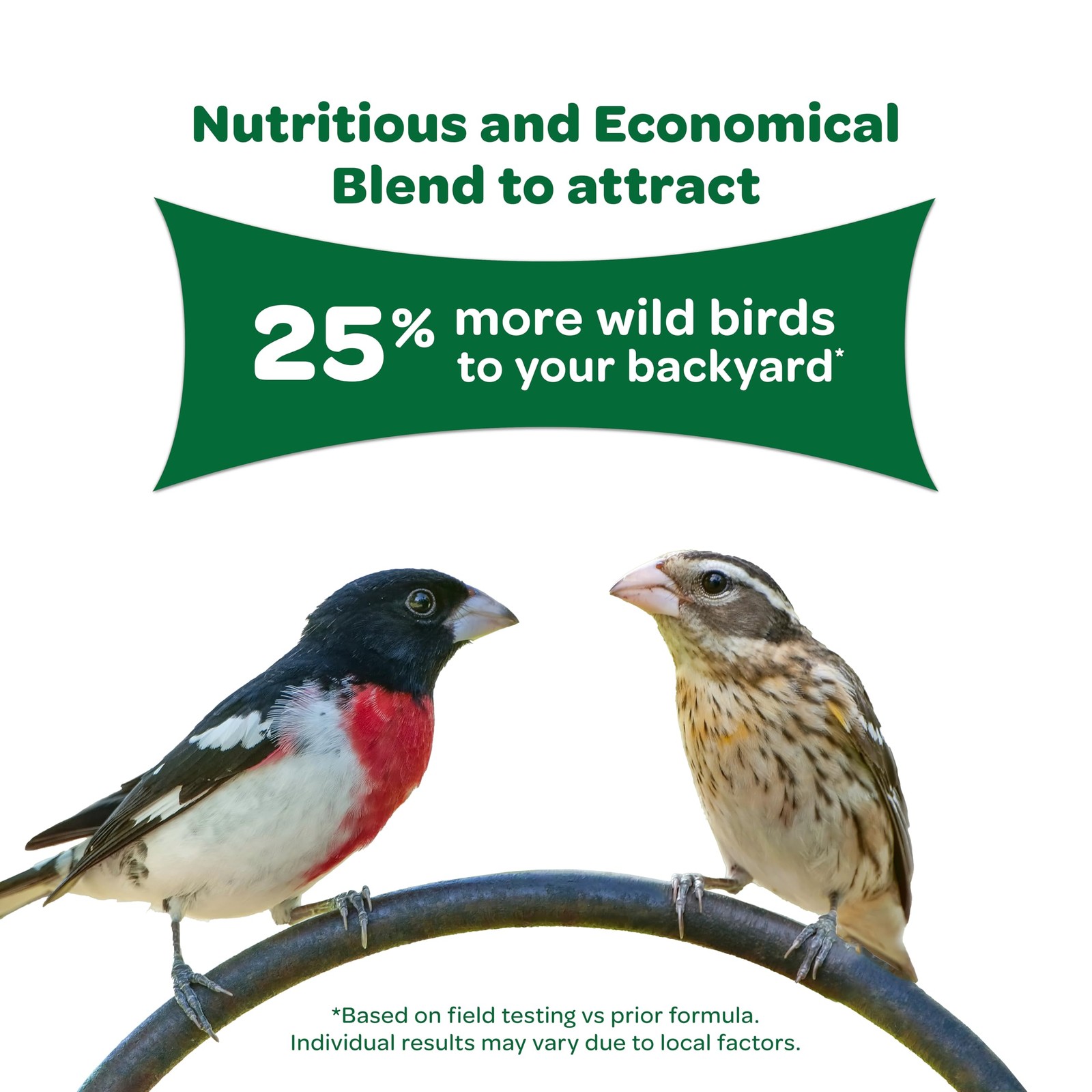 Wild Bird Food Basic Seed Blend, 5 lb 5 Pound (Pack of 1)