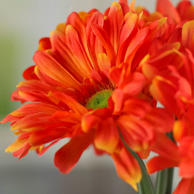 Set of 2 Tropical Orange Artificial Gerbera Daisy 11-1/4″ Floral Bundles