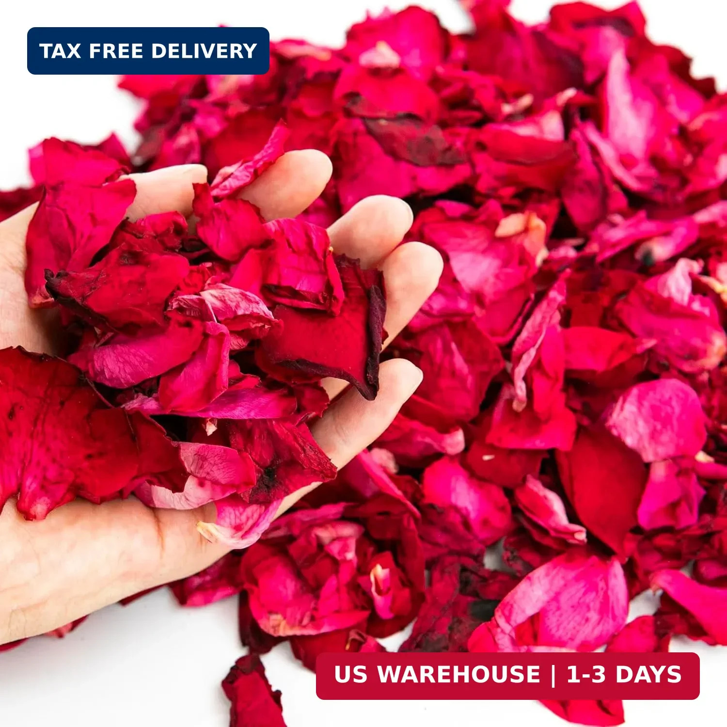 Fortunate Flowers 16oz/450g Dried Rose Petals Bulk for Wedding, 80+ Cups Red Fre