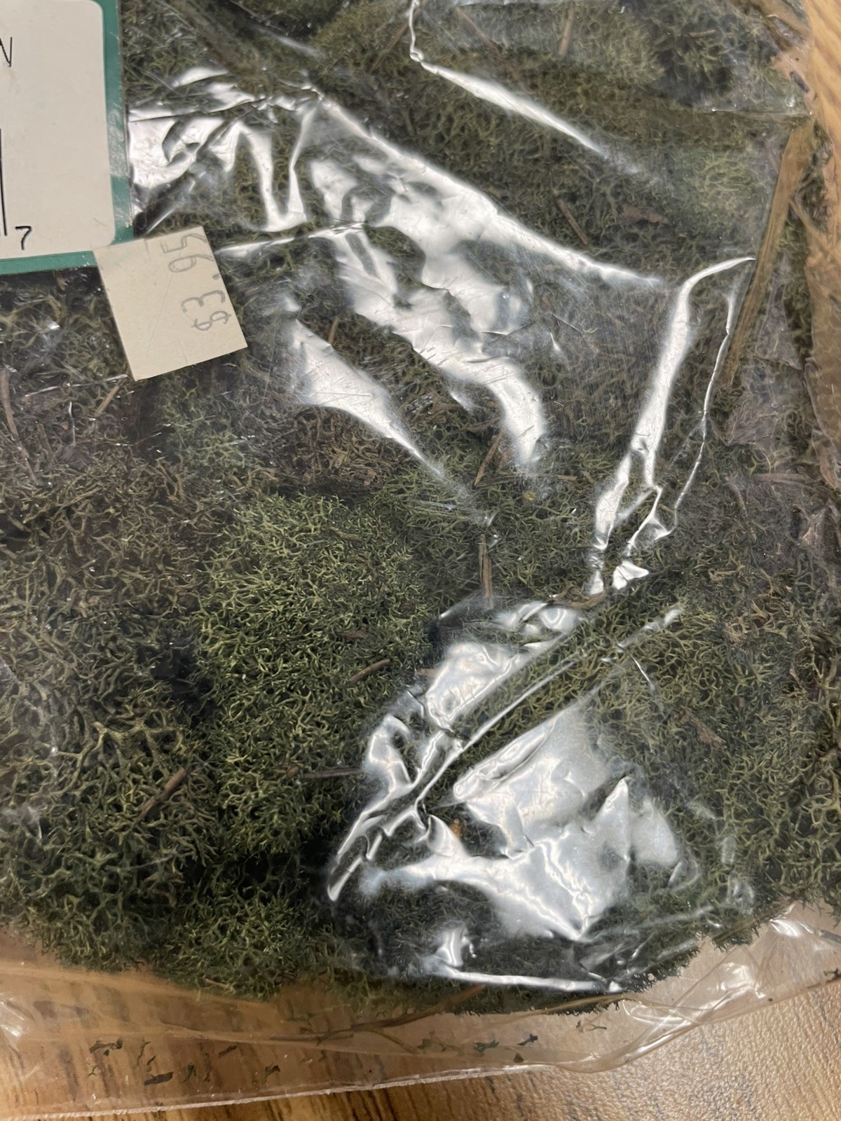 PRESERVED NATURAL REINDEER MOSS GREEN FOR CRAFTS VILLAGES & RAILROAD DISPLAYS