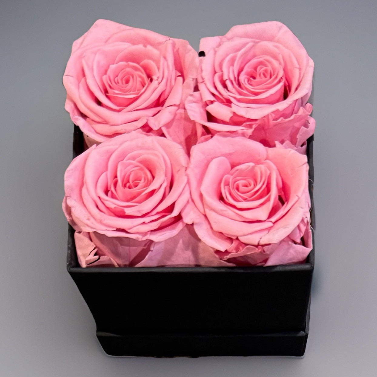 New Preserved Roses 4 Pink Long Lasting Real Roses in Gift Box Valentines Day