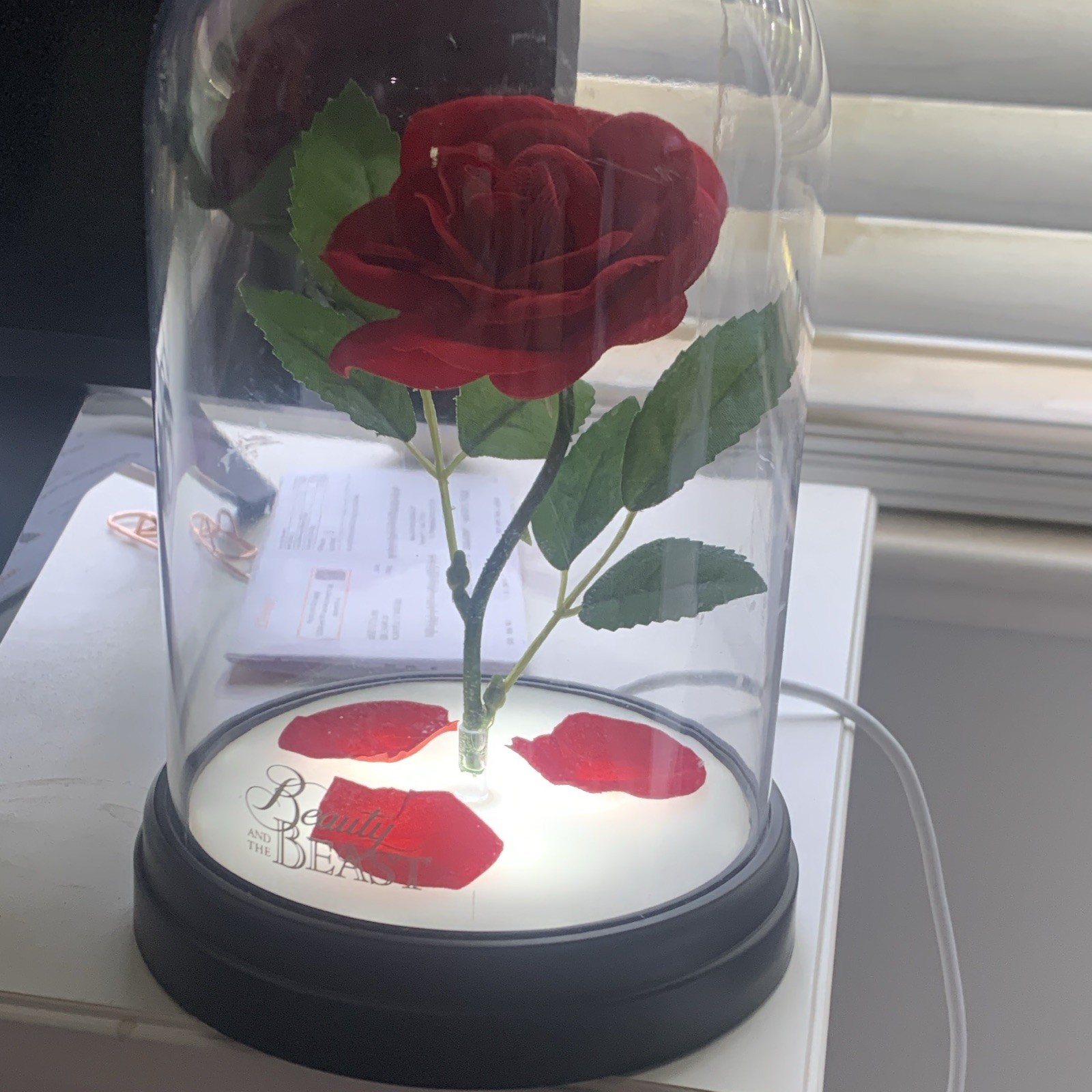 Artificial Red Rose in Clear Glass Dome w/ Black Base Beauty and the Beast Decor