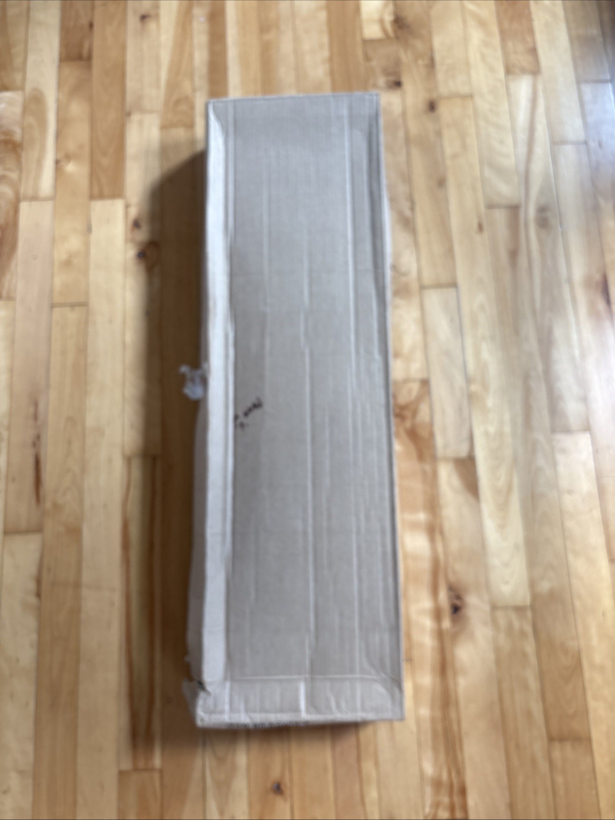 Vintage Plastic 33” Dusty Peach Larkspur Flower Stems Case of 12 New Old Stock