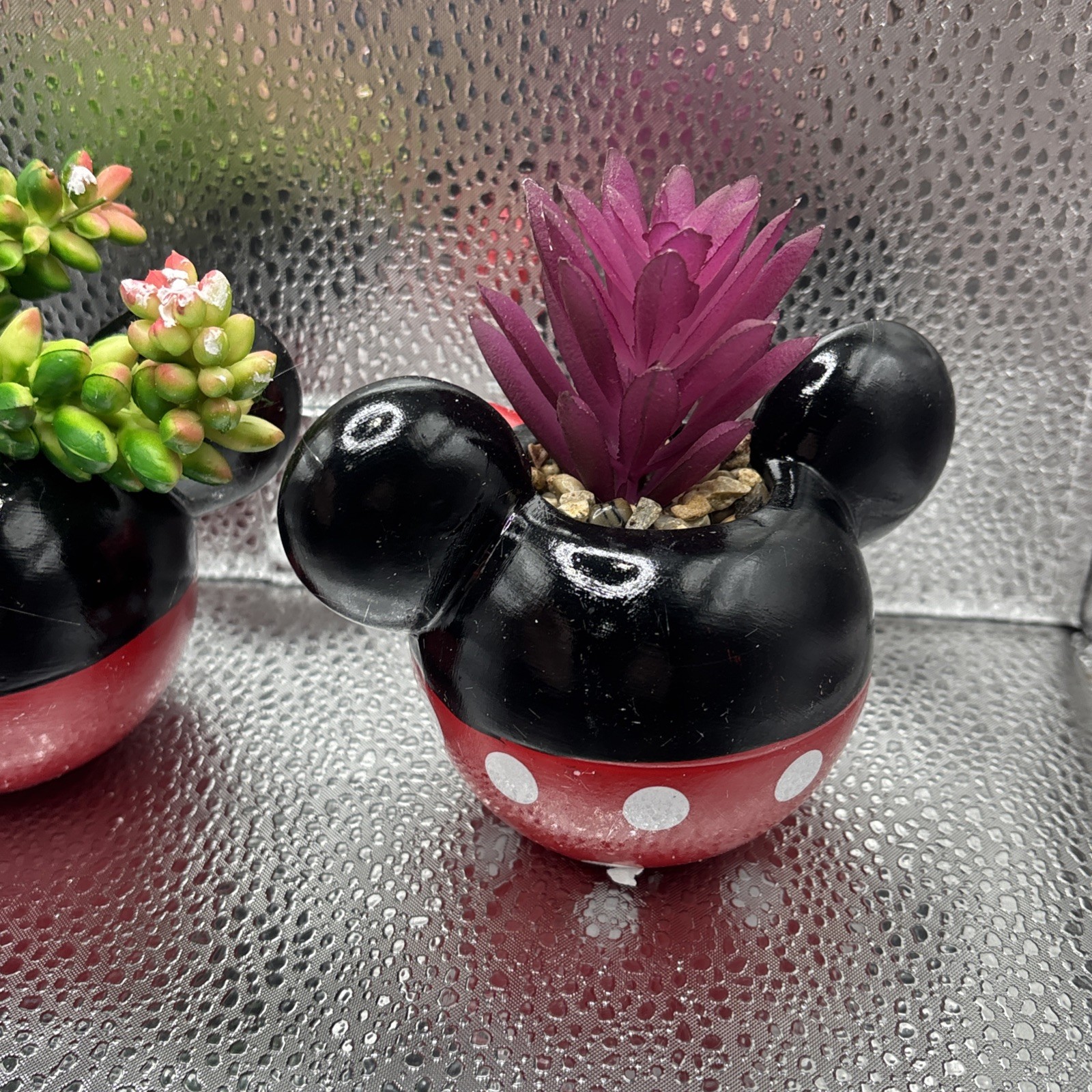 Mickey & Minnie Classic Succulent Set (2 Piece Set)