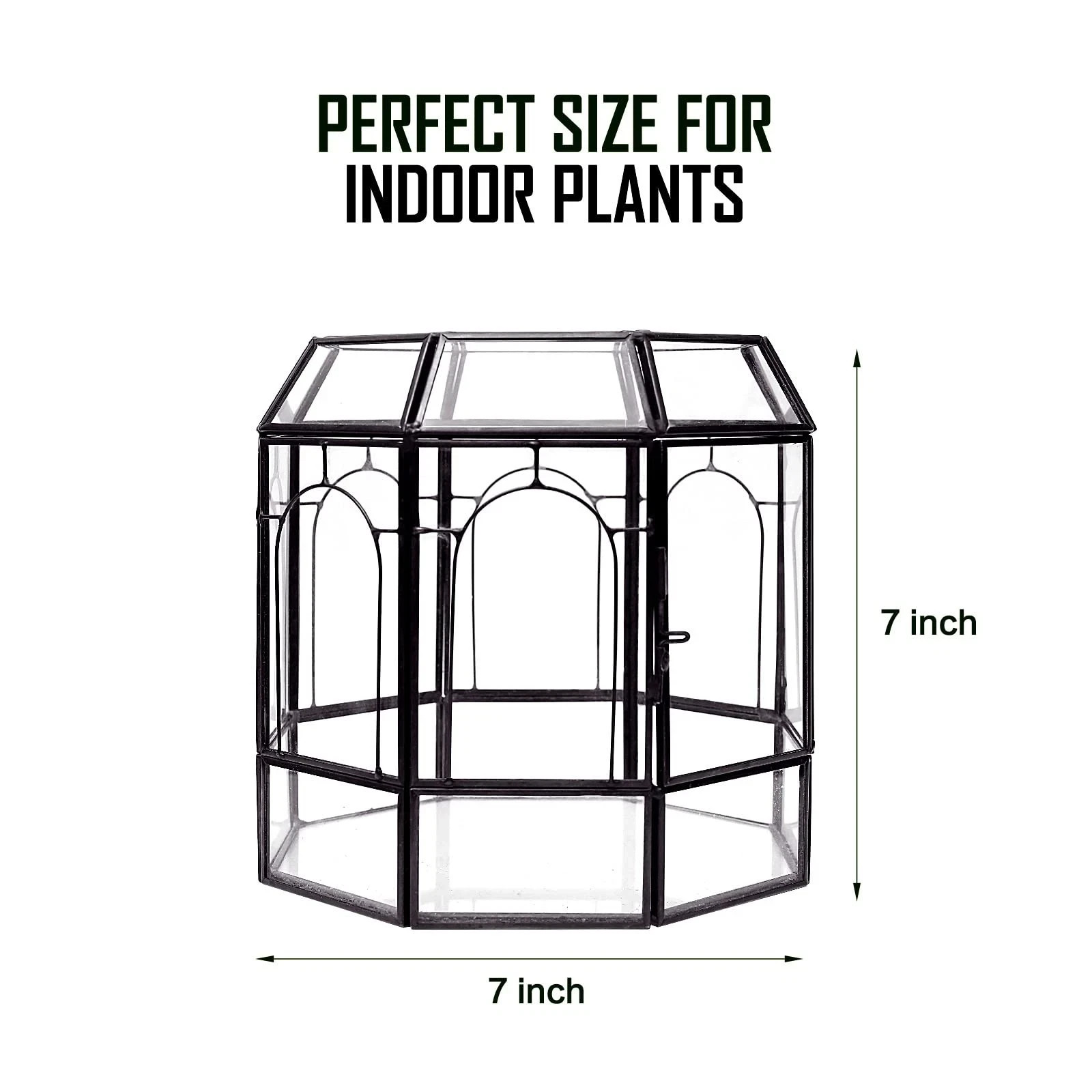 Large Glass Terrarium Centerpiece for Succulents, Cacti, Air Plants, Mini