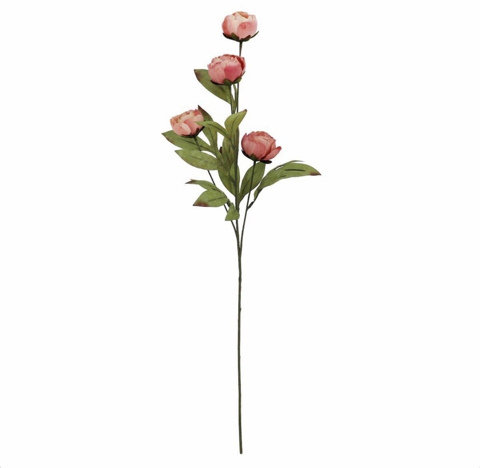 Set of 10 Viral Ashland Coral Peony Stems From Michael’s NEW 2026