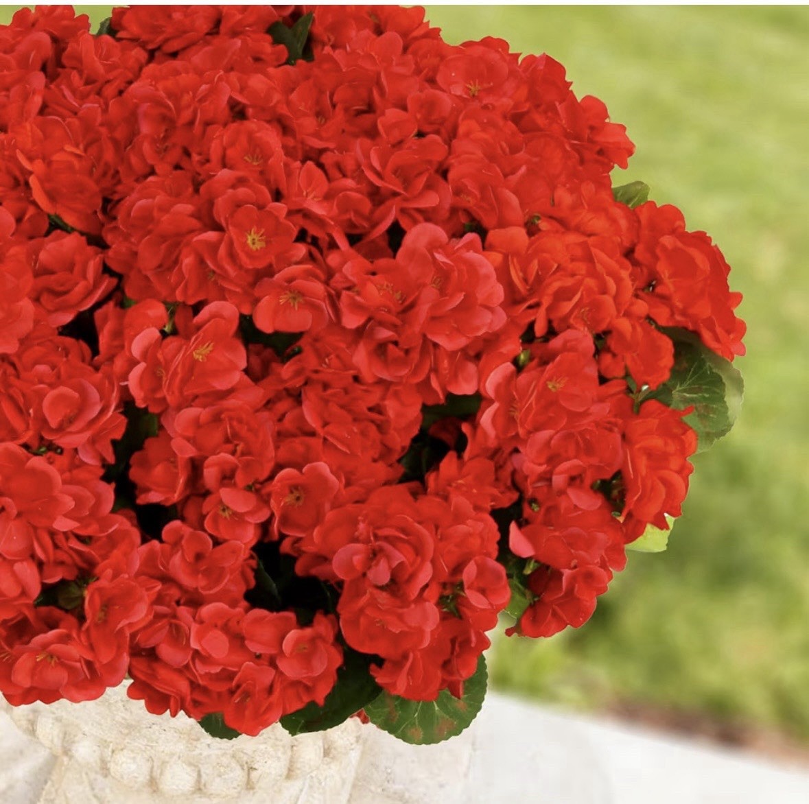 Artificial Geranium Flower Arrangement Centerpiece Red/Green Faux Silk Plastic