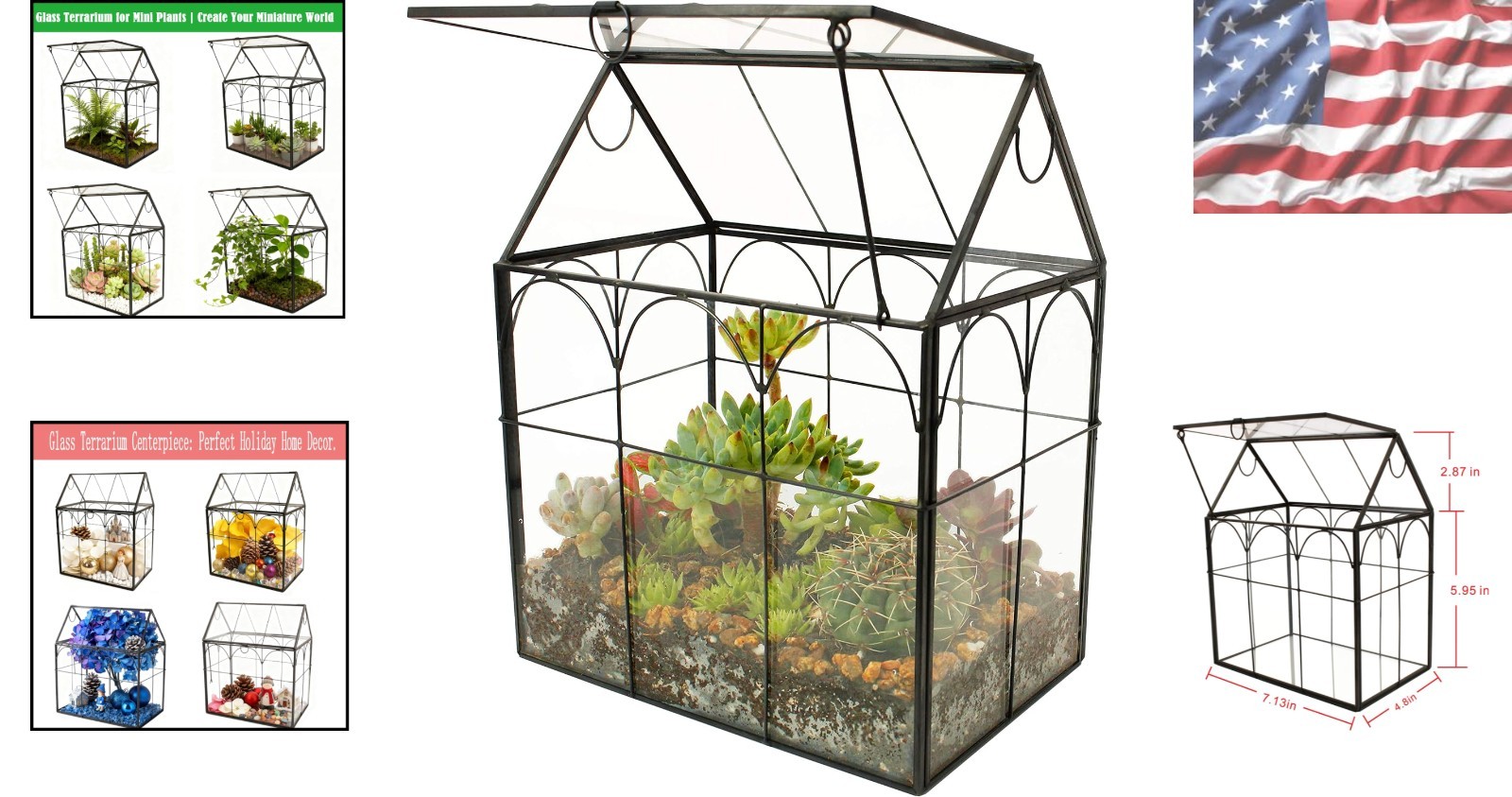 Lightweight Hinged Roof Glass Terrarium – Unique Irregular Design for Indoor Use