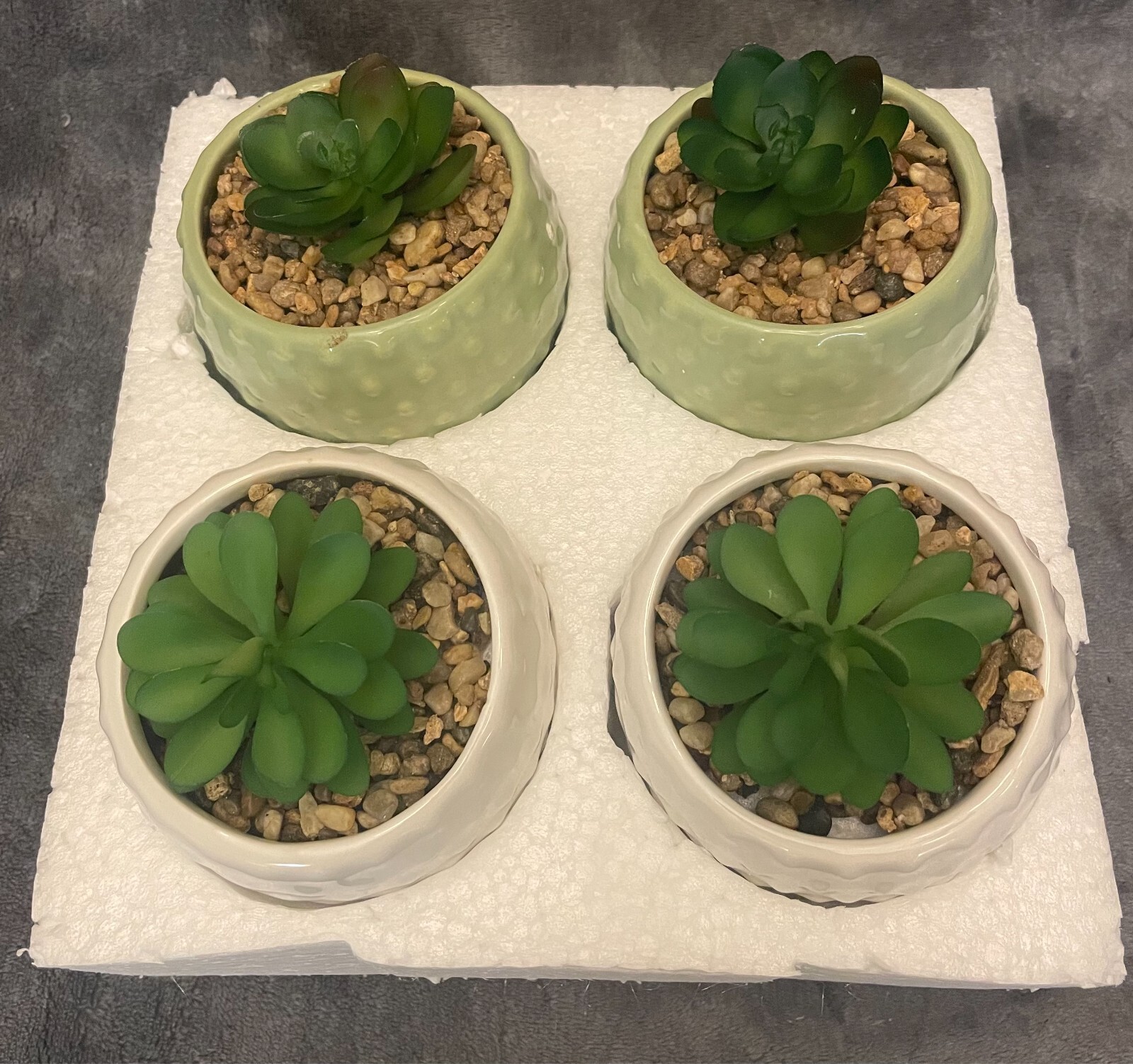 True Living 4 Pack Decorative Office Desk Succulent Arrangement-Open Box