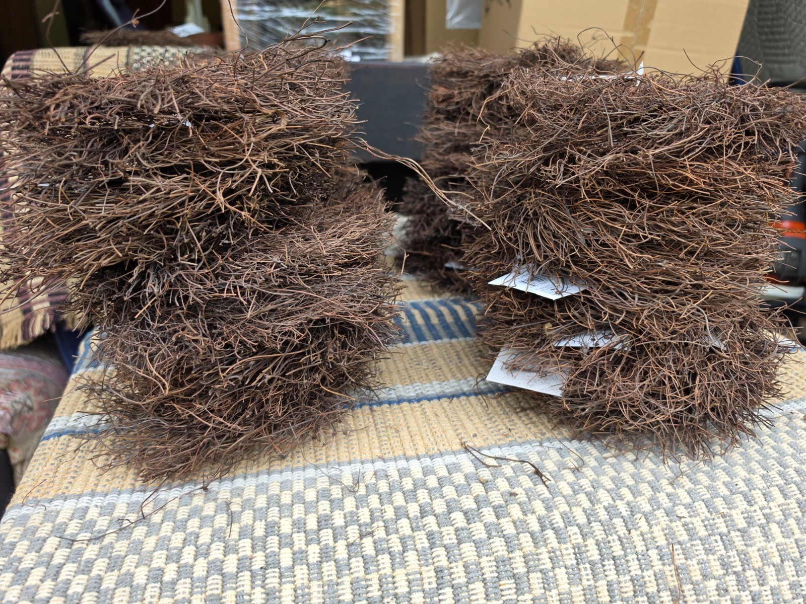 Natural Grapevine Rustic Rattan Inch Wreath Vine Holiday DIY Craft BOX LOT 40PC