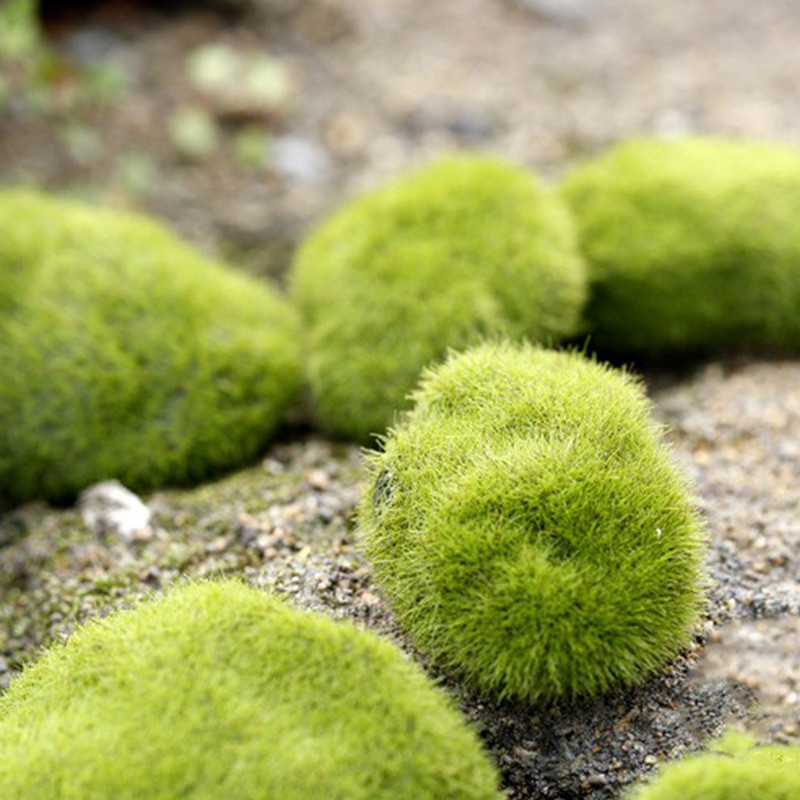 Artificial Moss Stones Grass Fake Rock Green Plant Landscape Garden Decor