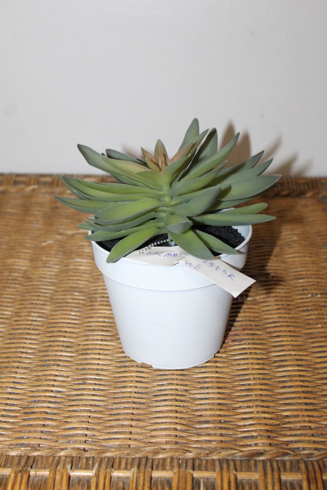 Williams Sonoma Artificial Potted Succulent (Rosette Style)