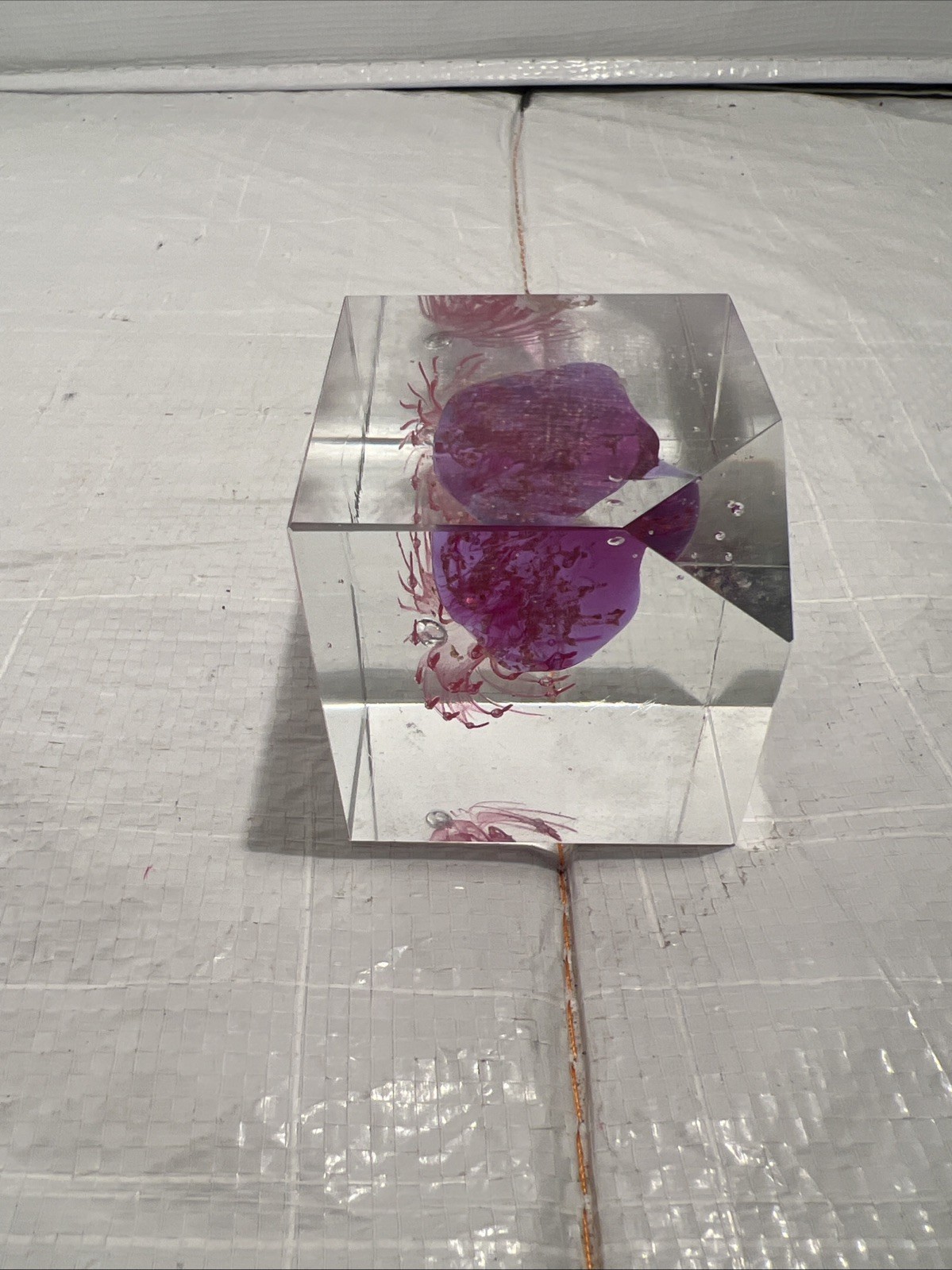 Vintage Acrylic Cube Flower Paperweight 2.25” (Preowned)