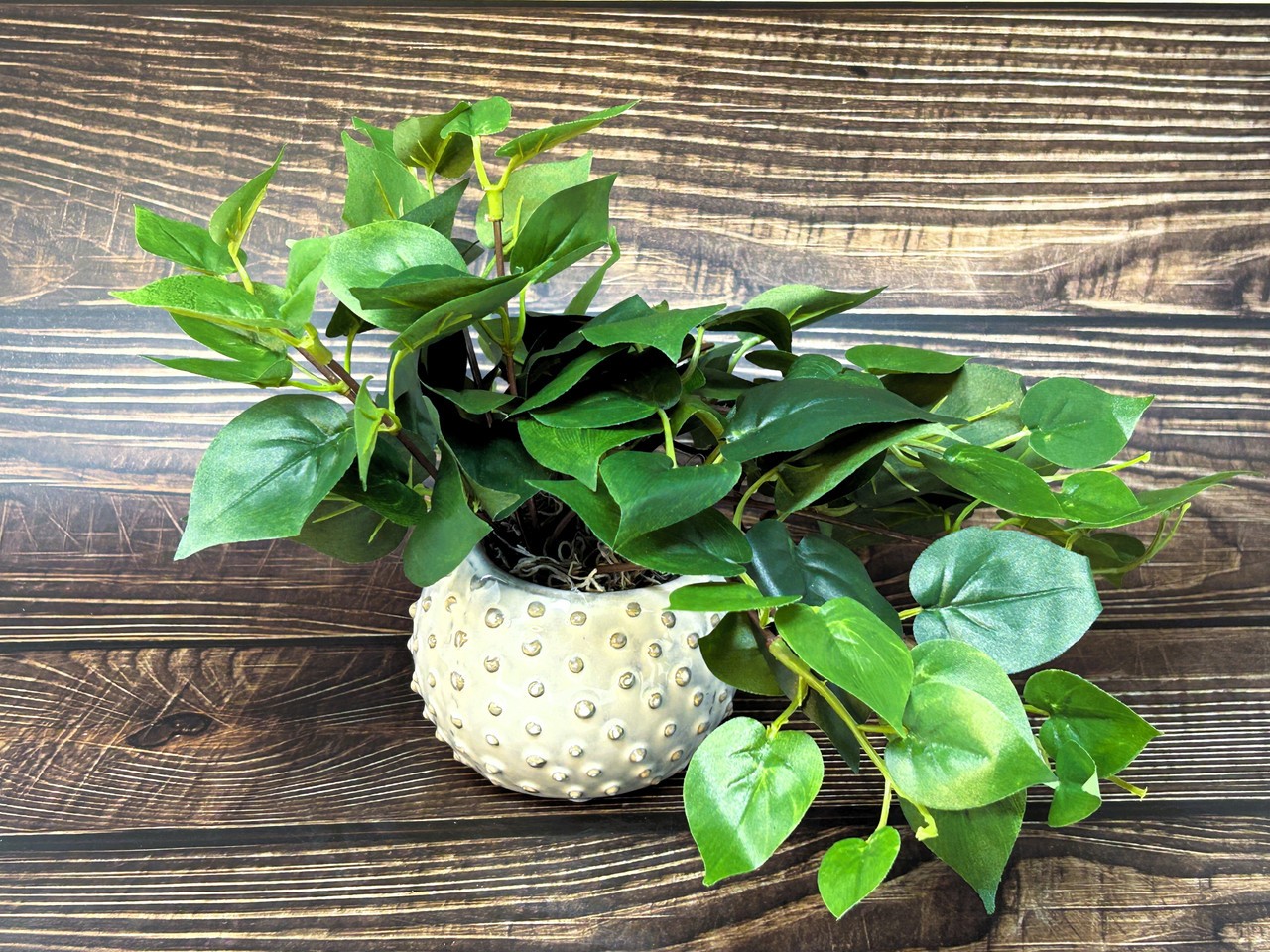 8″ Potted faux GREEN POTHOS Vine Silk plant, Cream Dot Ceramic pot