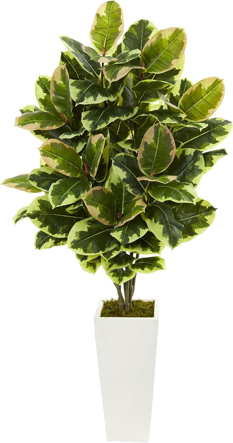 20″ Variegated Rubber Leaf Plant in Elegant White Tower Vase