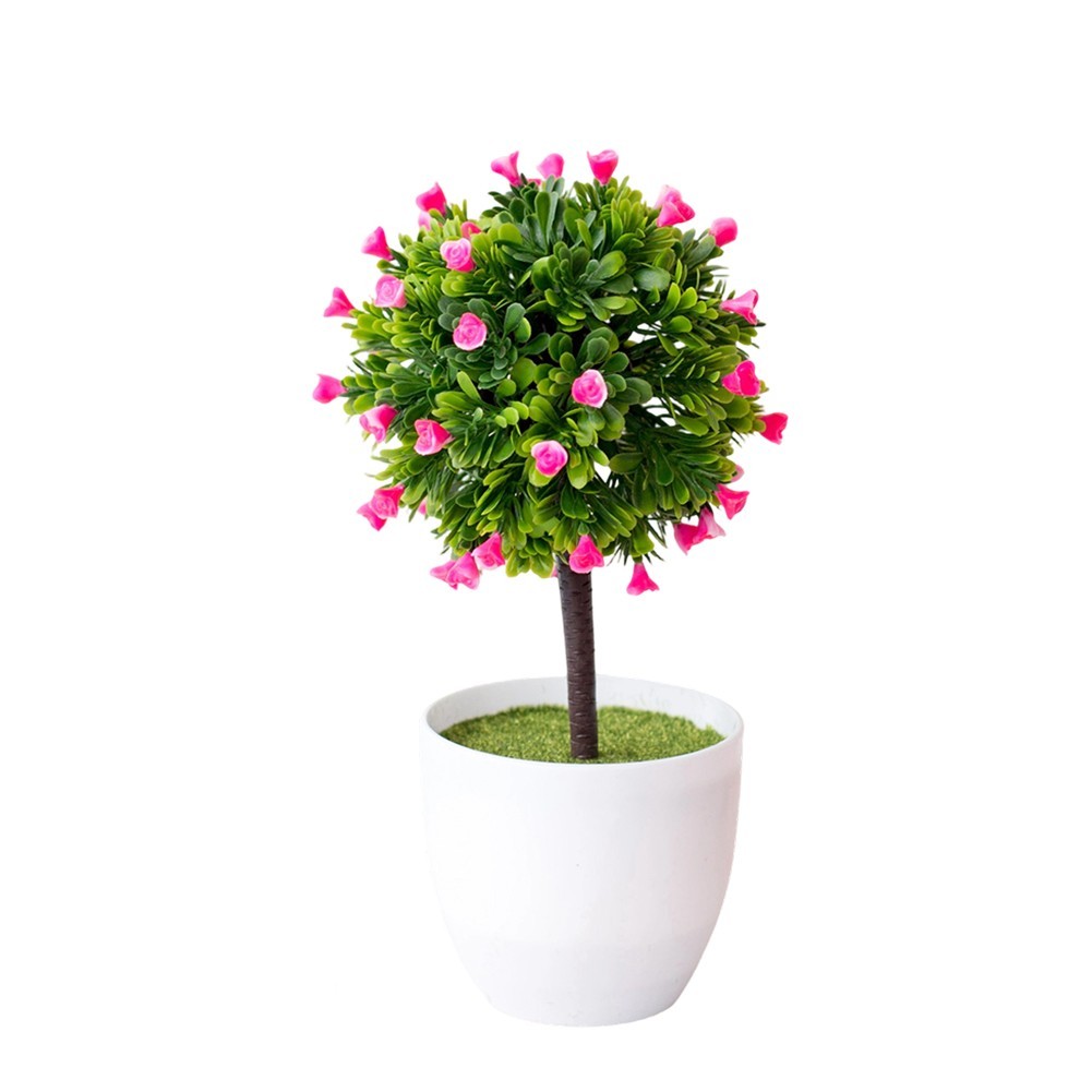 Low Maintenance Potted Flowers Yellow Purple White Pink 25 14cm Plastic