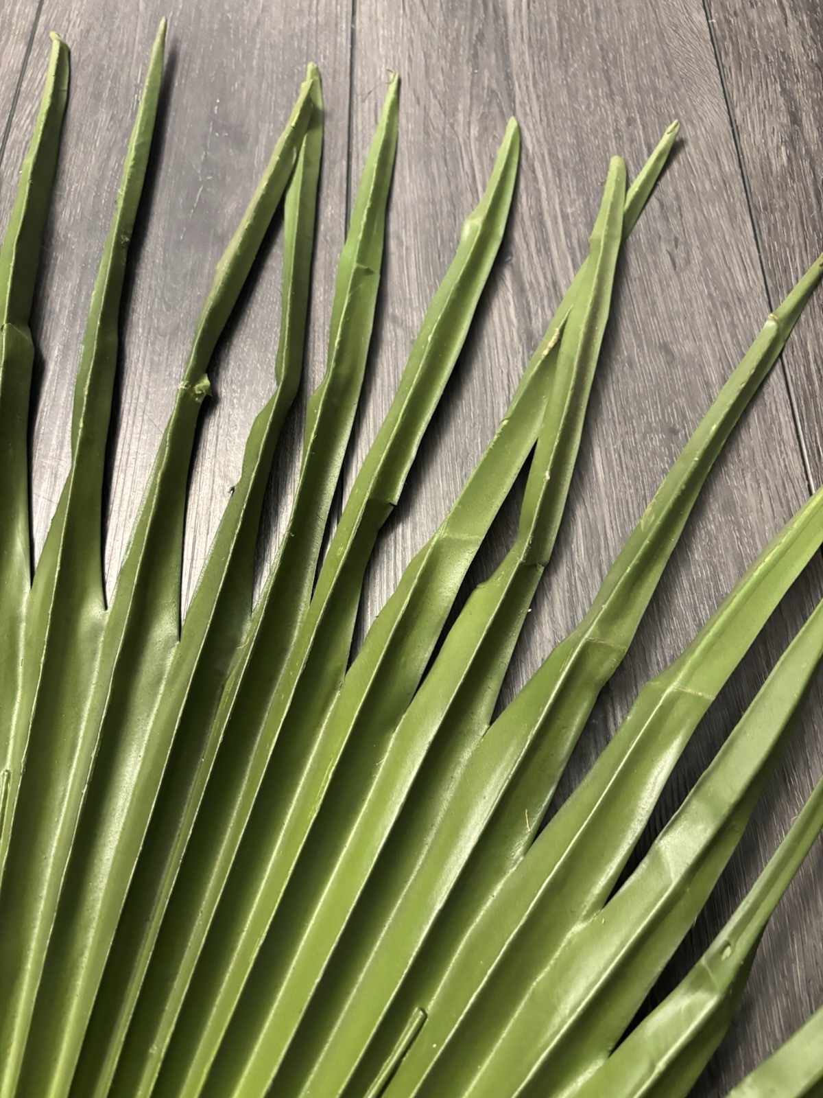 Large Fan Palm Leaf Stem 58” Tropical Boho Coastal Wedding Home Decor Prop