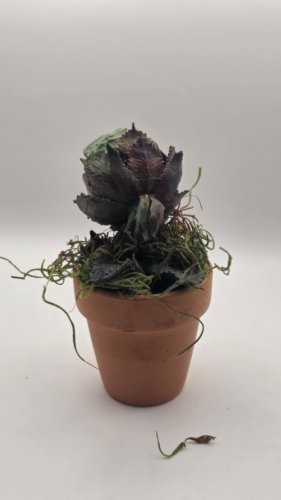 Audrey II Little Shop of Horrors Airbrushed Carnivorous includes Pot & Moss 5″