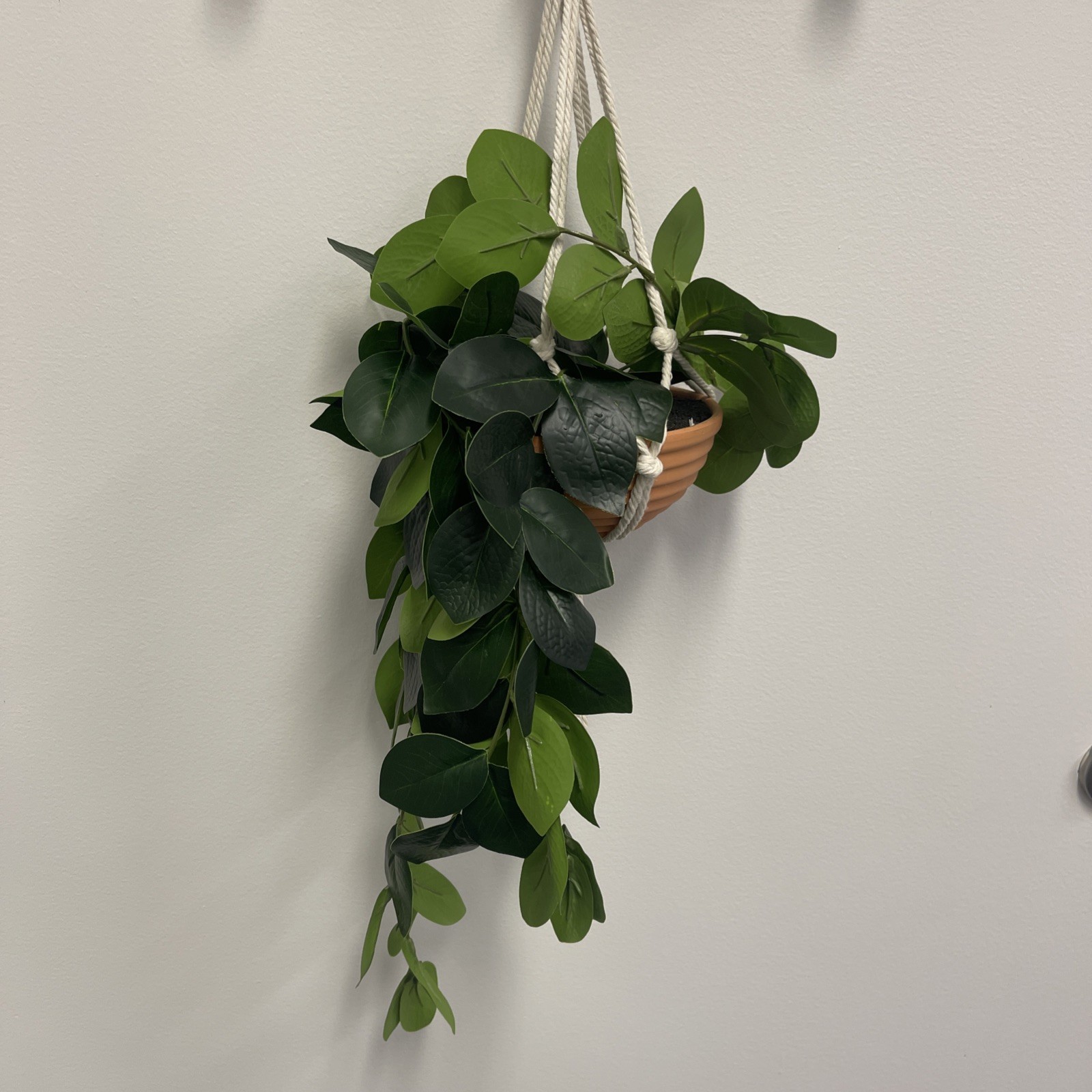 Fake Hanging Plant in Clay Pot – Artificial Hanging Plants Chinese Money Tree