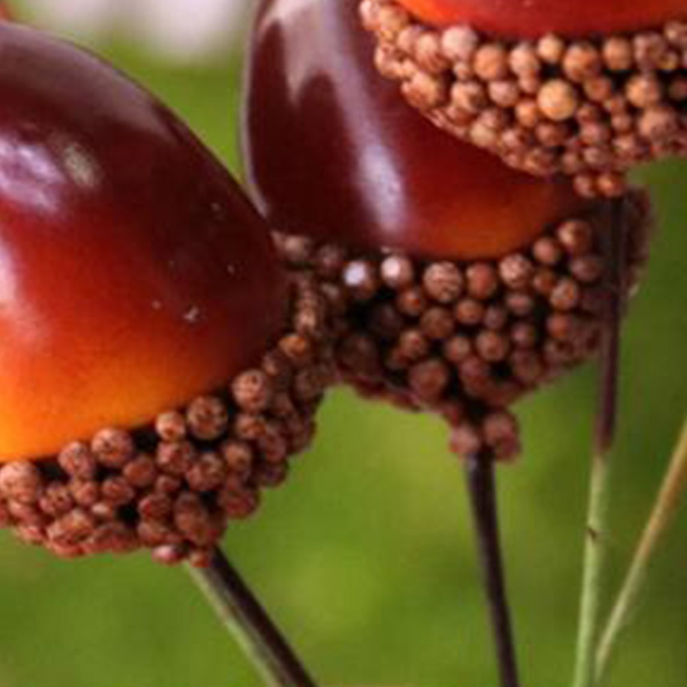 50Pcs Reusable Artificial Decor Acorns Multi Color for Christmas Baby Shower