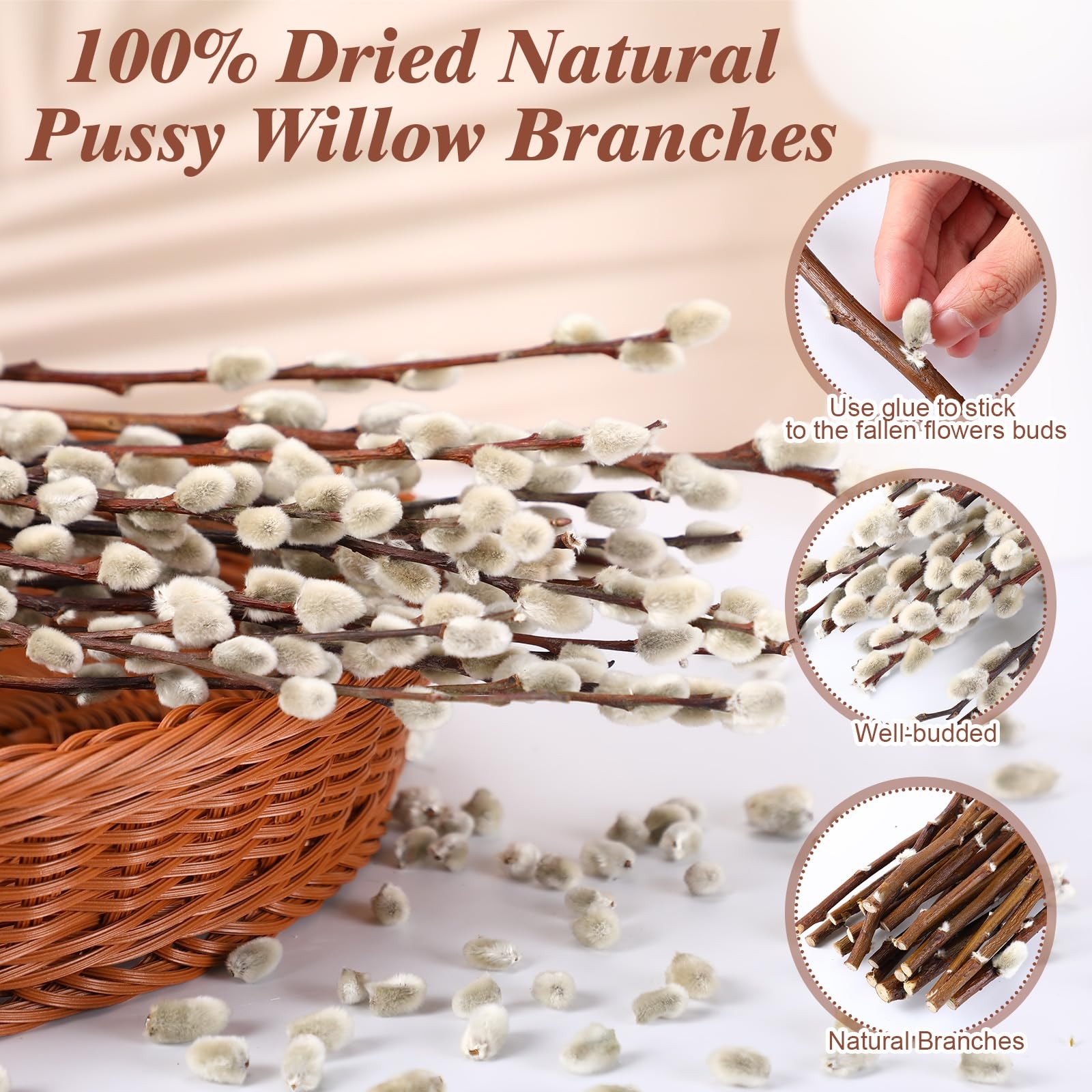 20 Stems 31.5” Real Dried Pussy Willow Branches for Vases 100% Natural Tall …