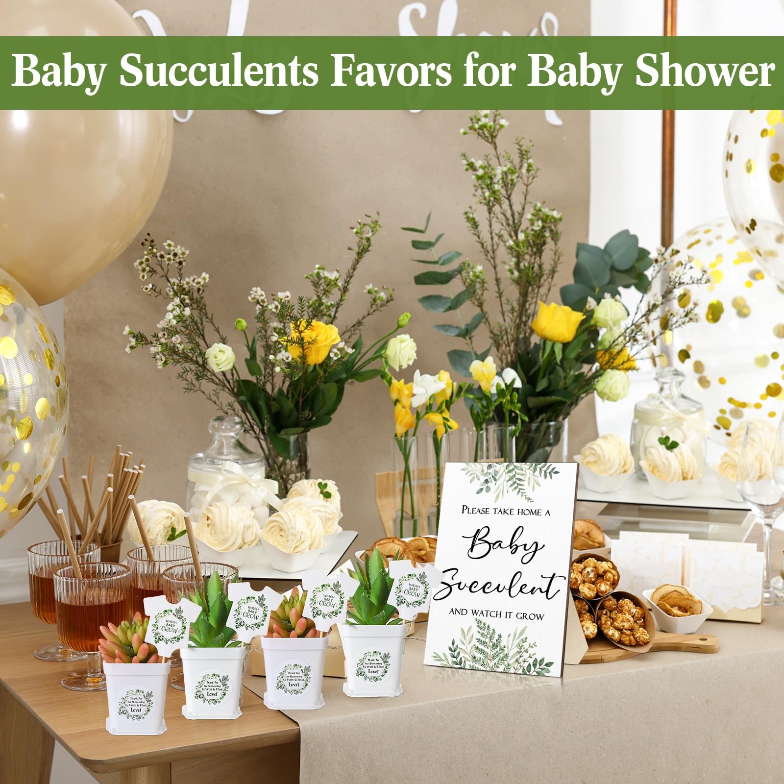 151 Pcs Baby Shower Succulents Favors for Guests Include 1 Safari Greenery Ba…