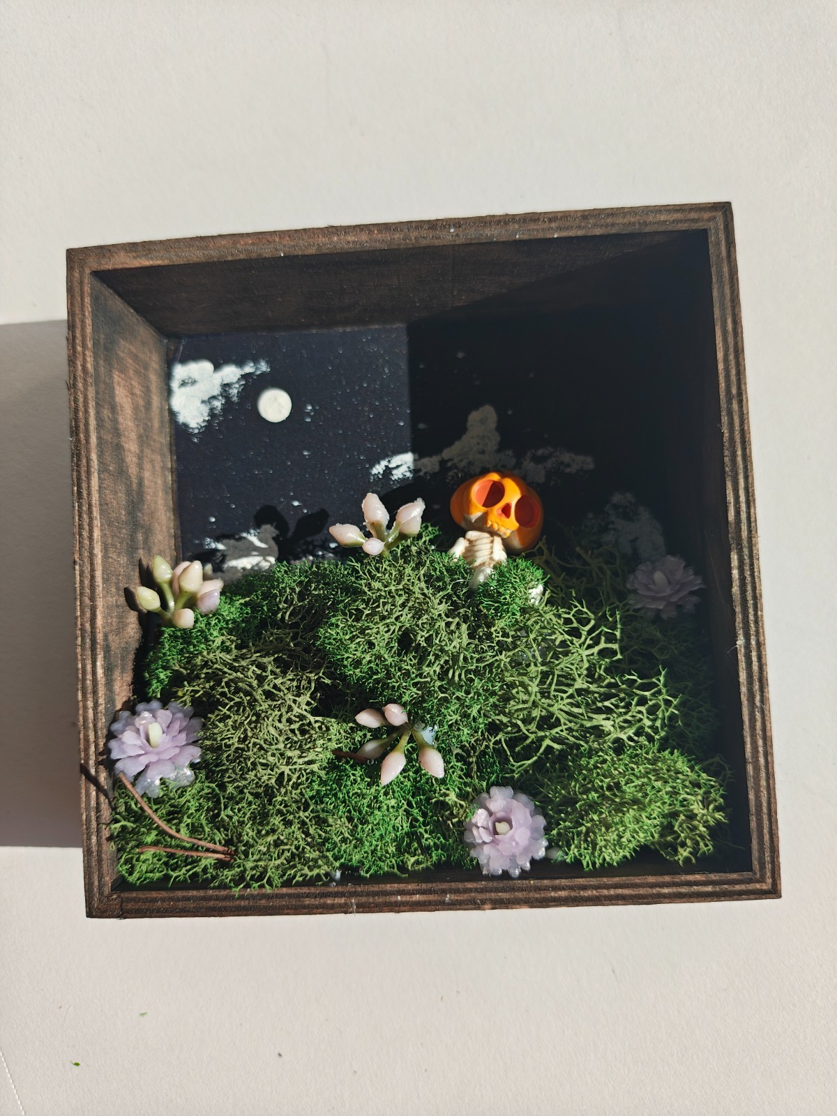 Gothic Pumpkin Boy Night Sky Wood Art, Preserved Moss 4x4x1.25 In
