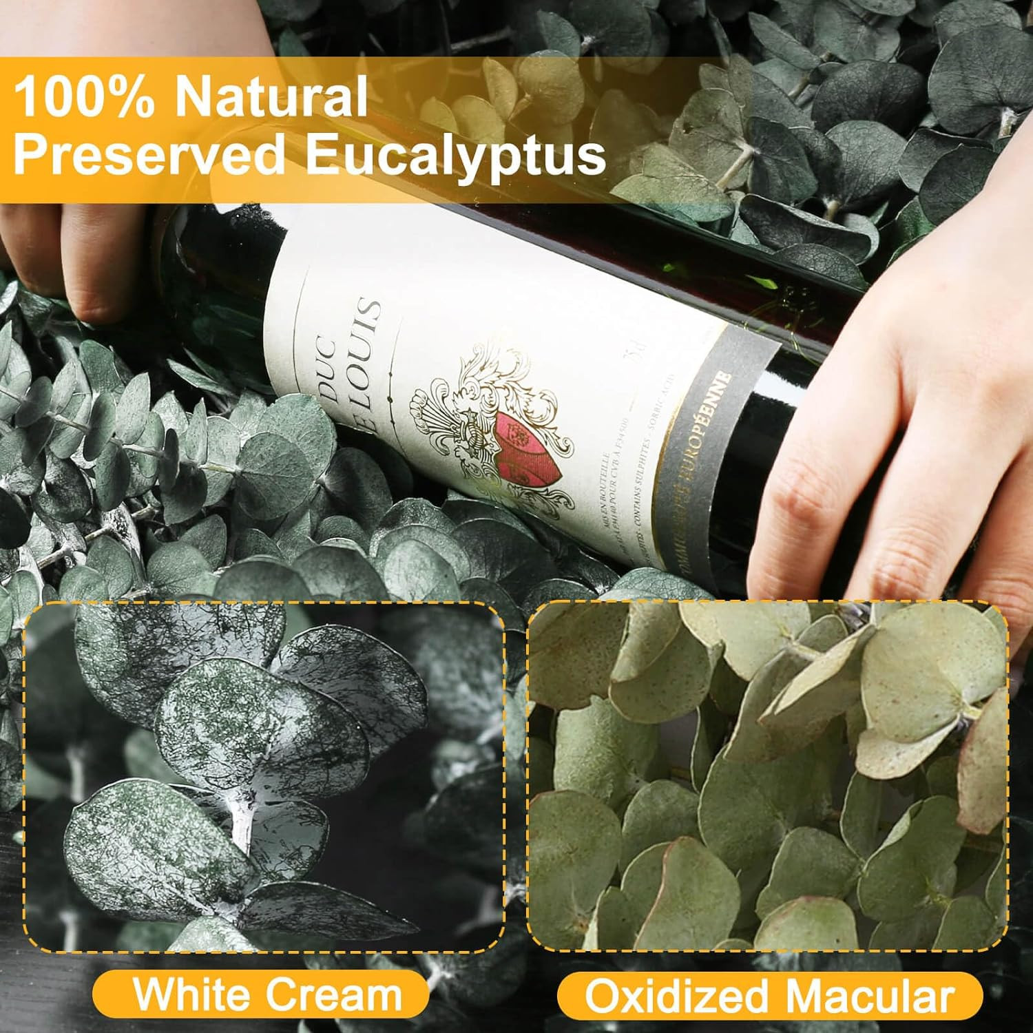 12 tallos de eucalipto secos para ducha Hojas de eucalipto preservadas de 43 cm