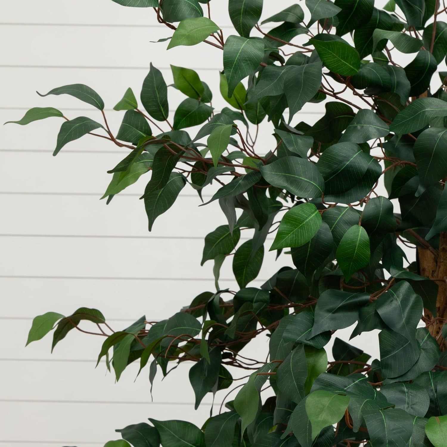 Maintenance-Free 6ft Ficus Tree in Natural Jute Planter – Perfect Indoor Accent