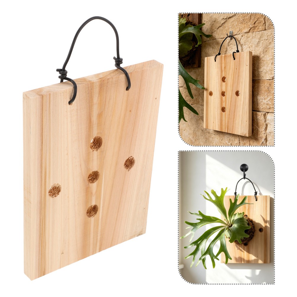 Solid Wood Wall Hanging Plant Board Fern Garden Decorative Mount