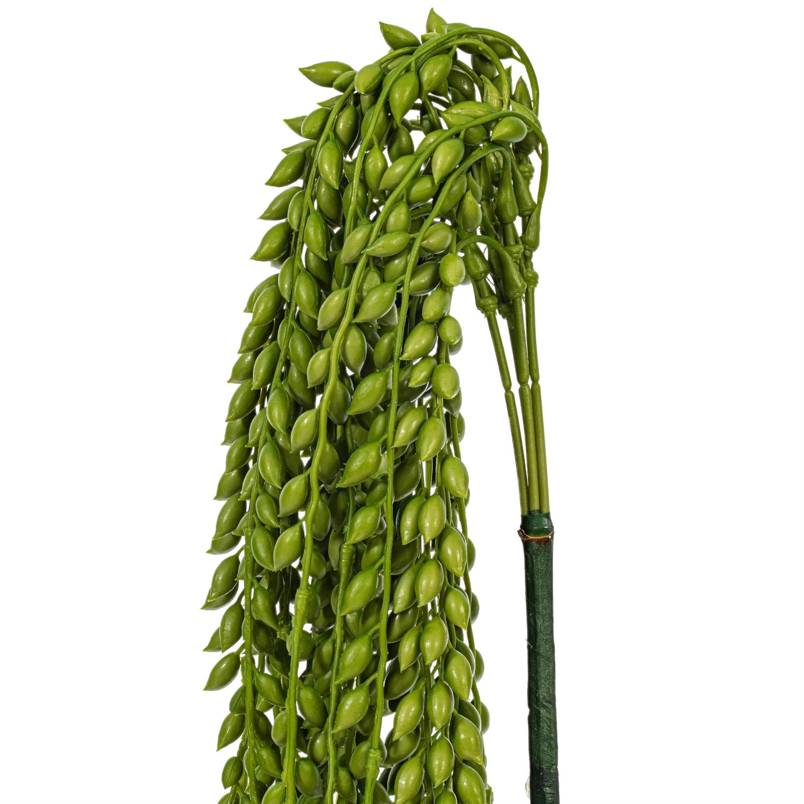 Pemberly Row 39″ Contemporary Plastic Artificial Senecio Bush in Green