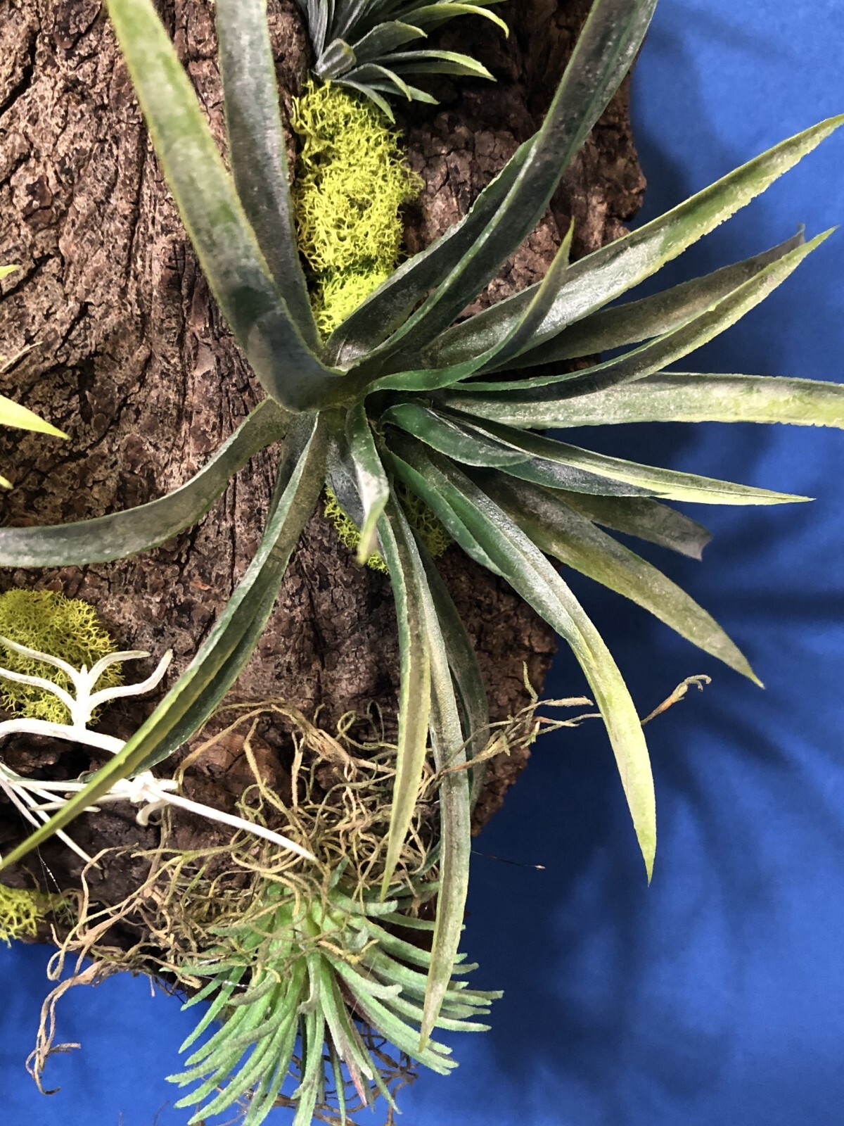 Artificial Succulent Air Plant Wall Art Home Office Mounted on Real Wood Bark