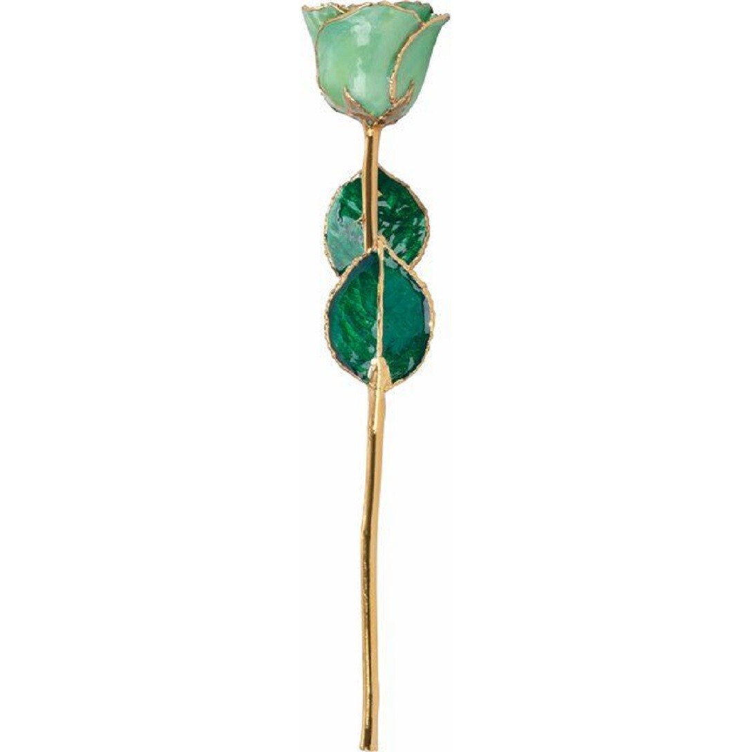 Mint Green Rose with 24K Yellow Gold Trim Lacquered Long Stemmed Rose