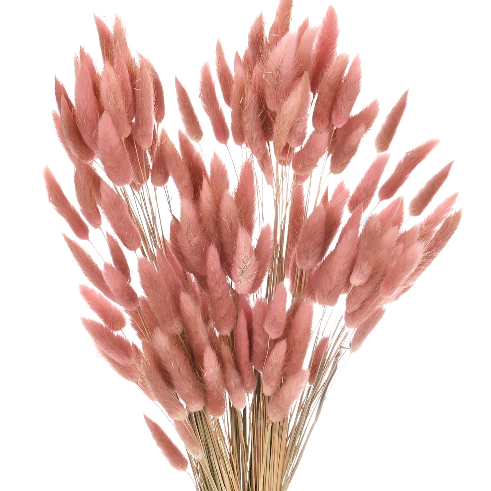 120-Pack Bunny Tails Grass 17 Inch for Home Decor/Wedding [Brown]