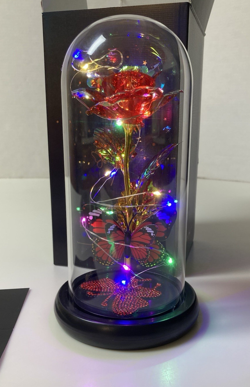 Lighted Flower & Butterfly Display Best Gift For You LED Glass Dome Red Rose New
