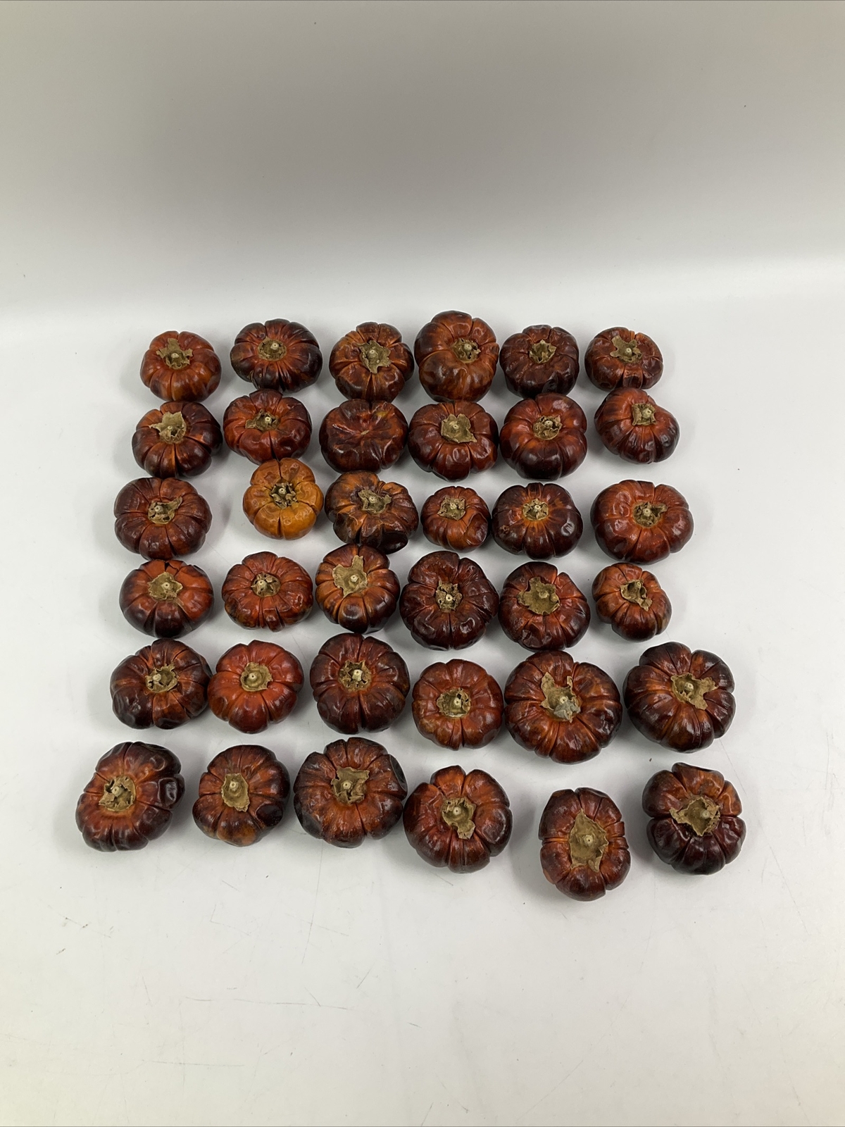 Fully Dried Mini Pumpinos Pumpkin Peppers Fall Orange Vase Filler Decor Craft