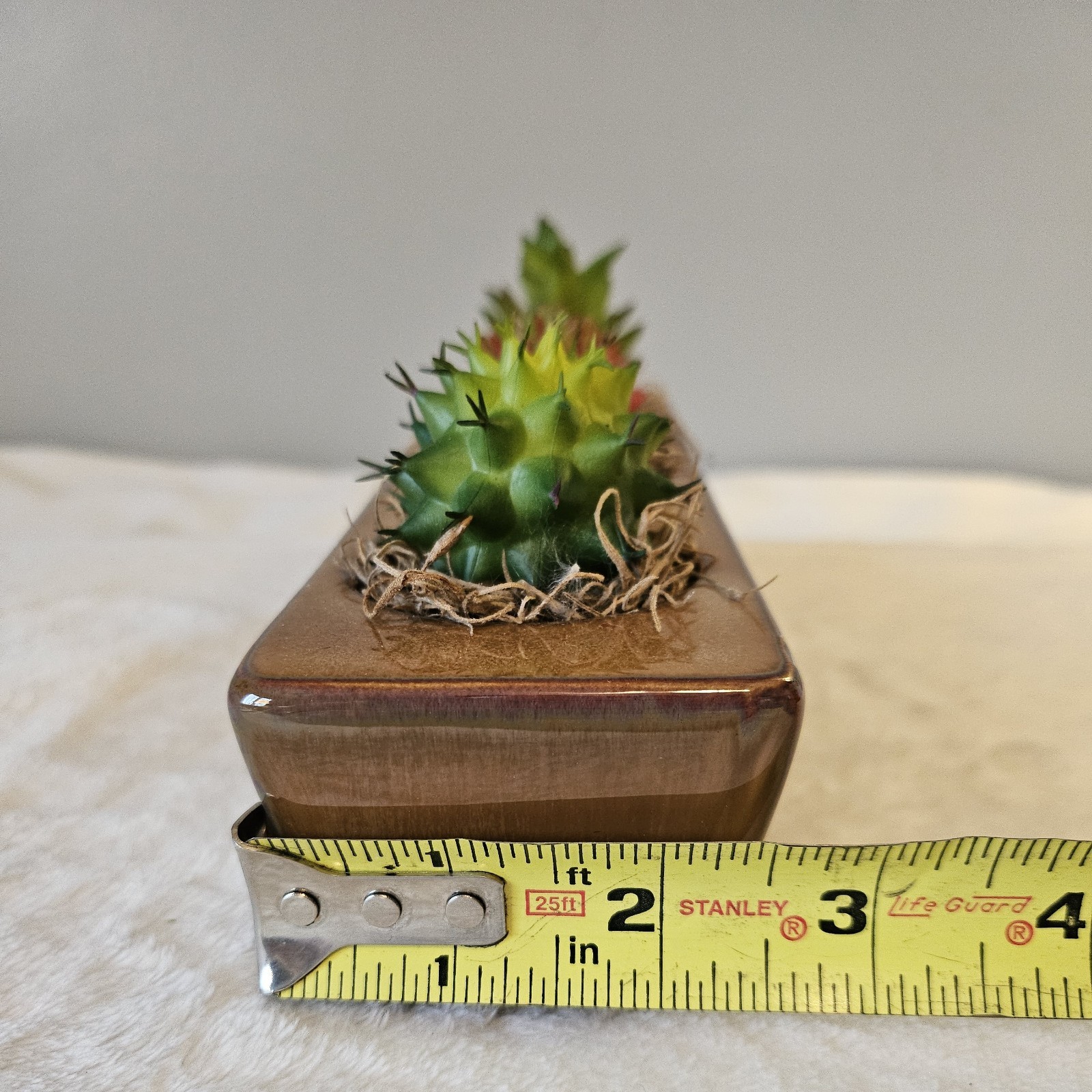 Artificial succulent plant arrangement (Handmade)