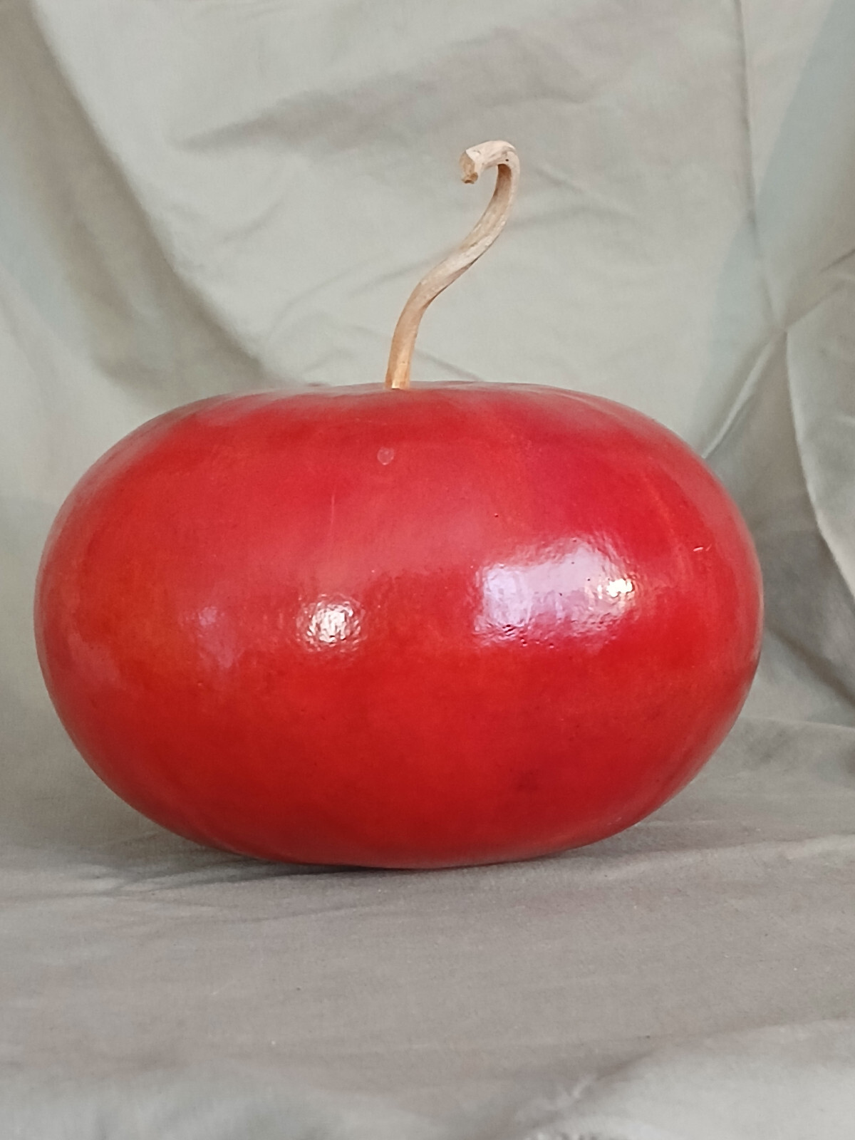 Large Apple Fall Perfect Natural Gourd Dried Decor Painted Red6 x 8 in