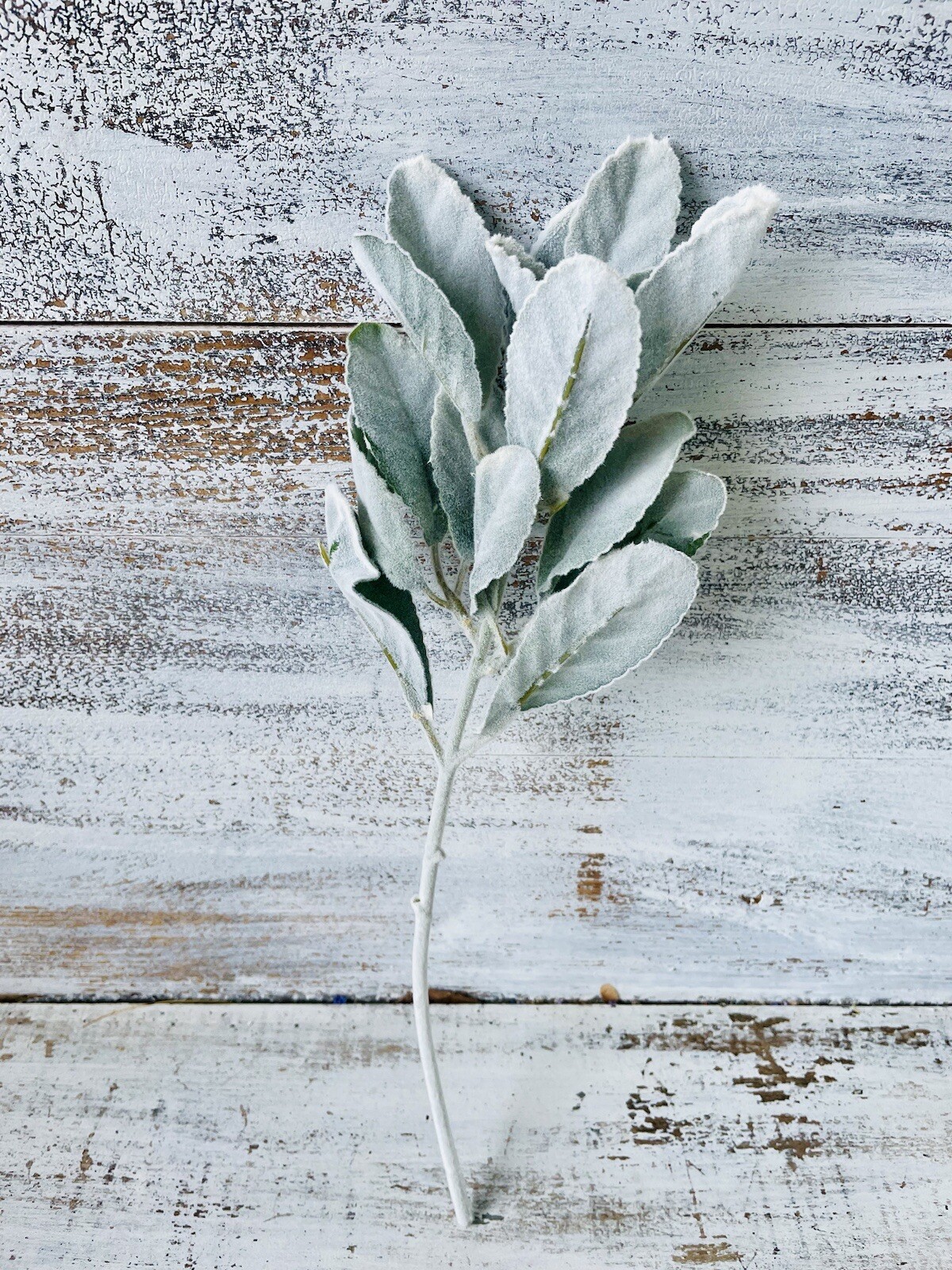 Frosted Lamb’s Ear Pick, 15” Bundle Of 3 Floral Arrangements Greenery New