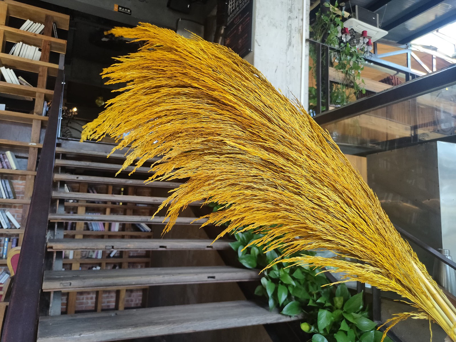 Pampas Grass Decor Tall,Long Pampas, Large Pompas Floral, Elegant Feather Flo…