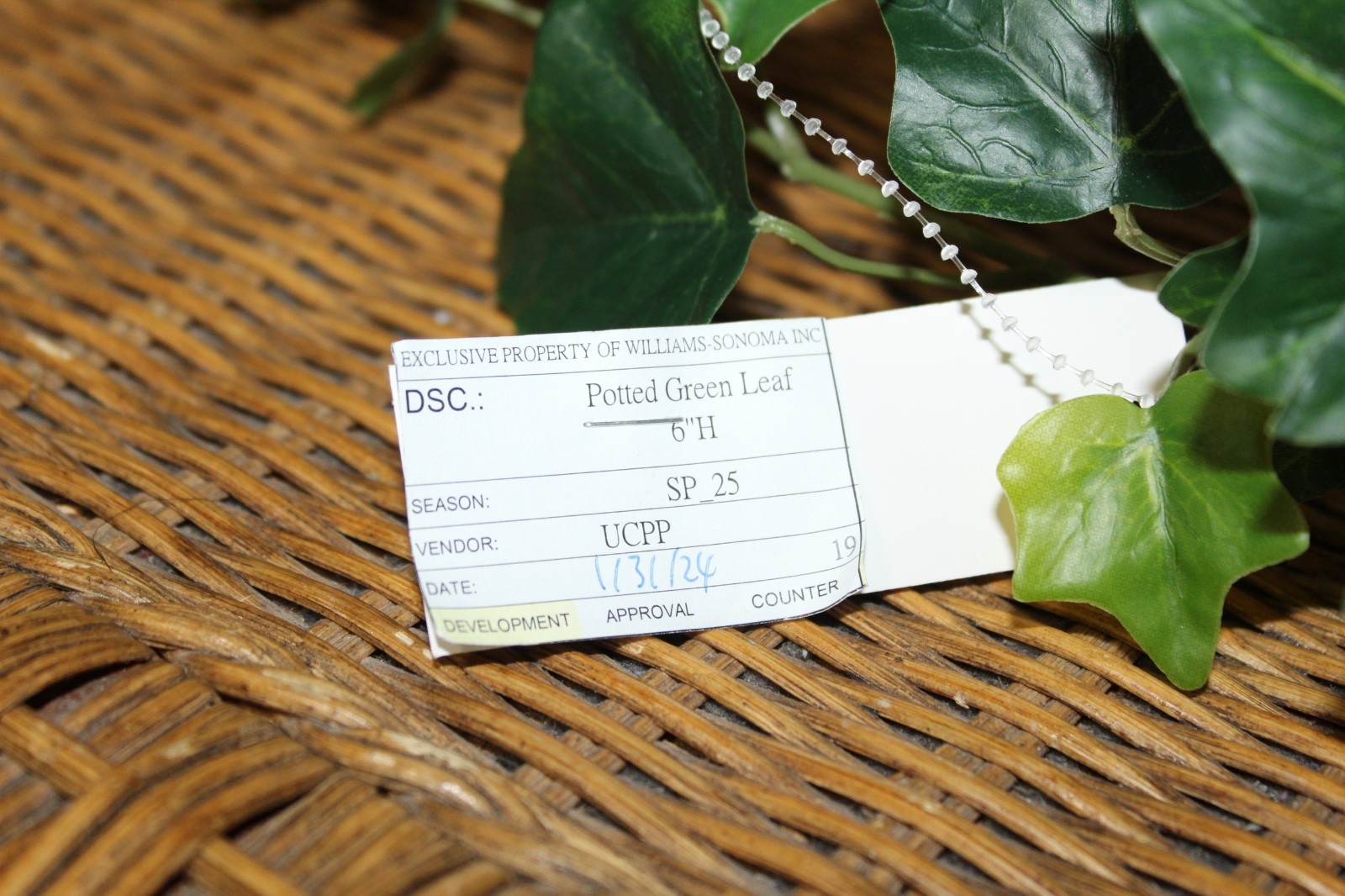 Williams Sonoma Artificial Potted Green Leaf.