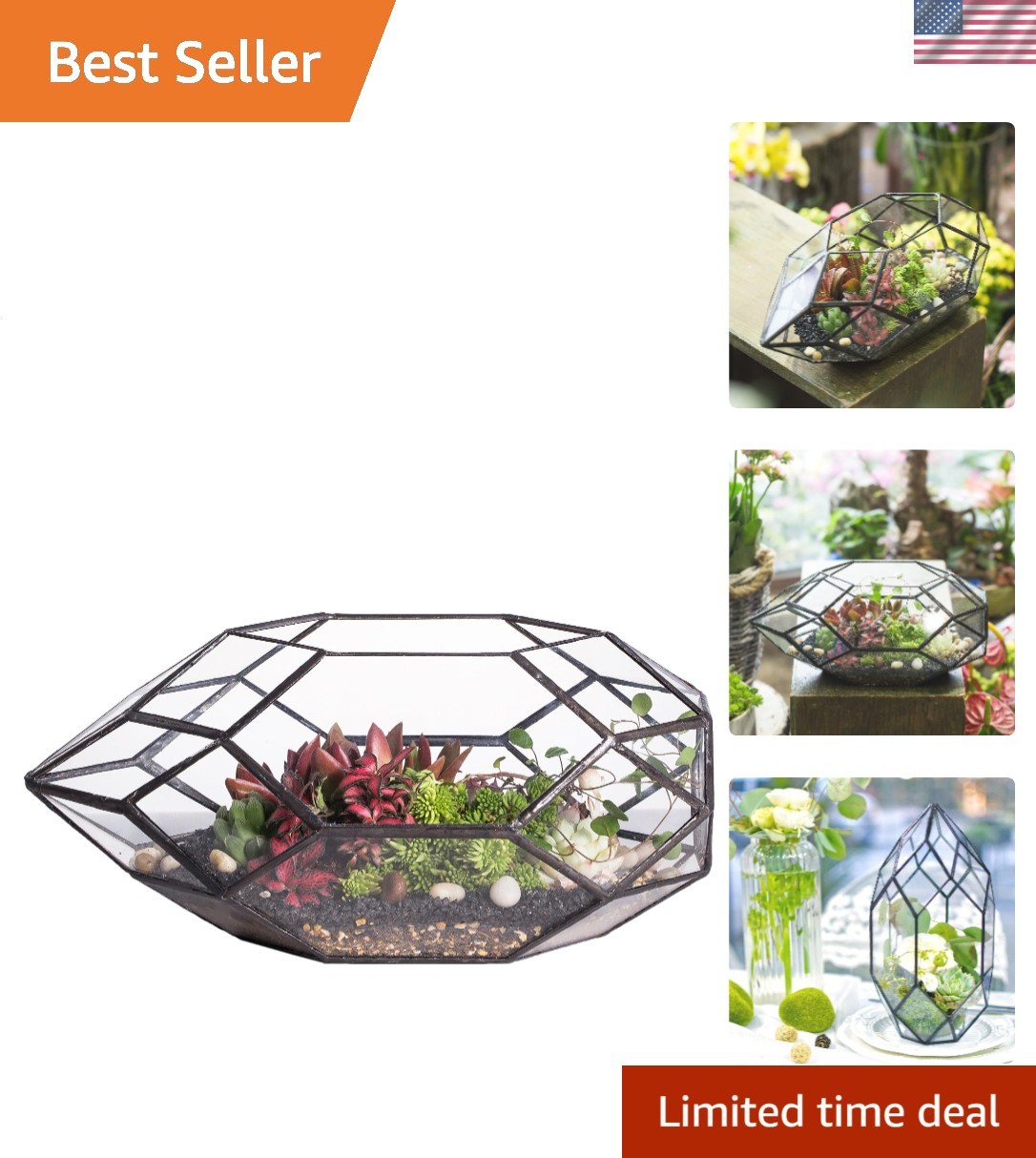 Contemporary 6.5×5.9×11 Glass Terrarium – Perfect for Succulents & Air Plants