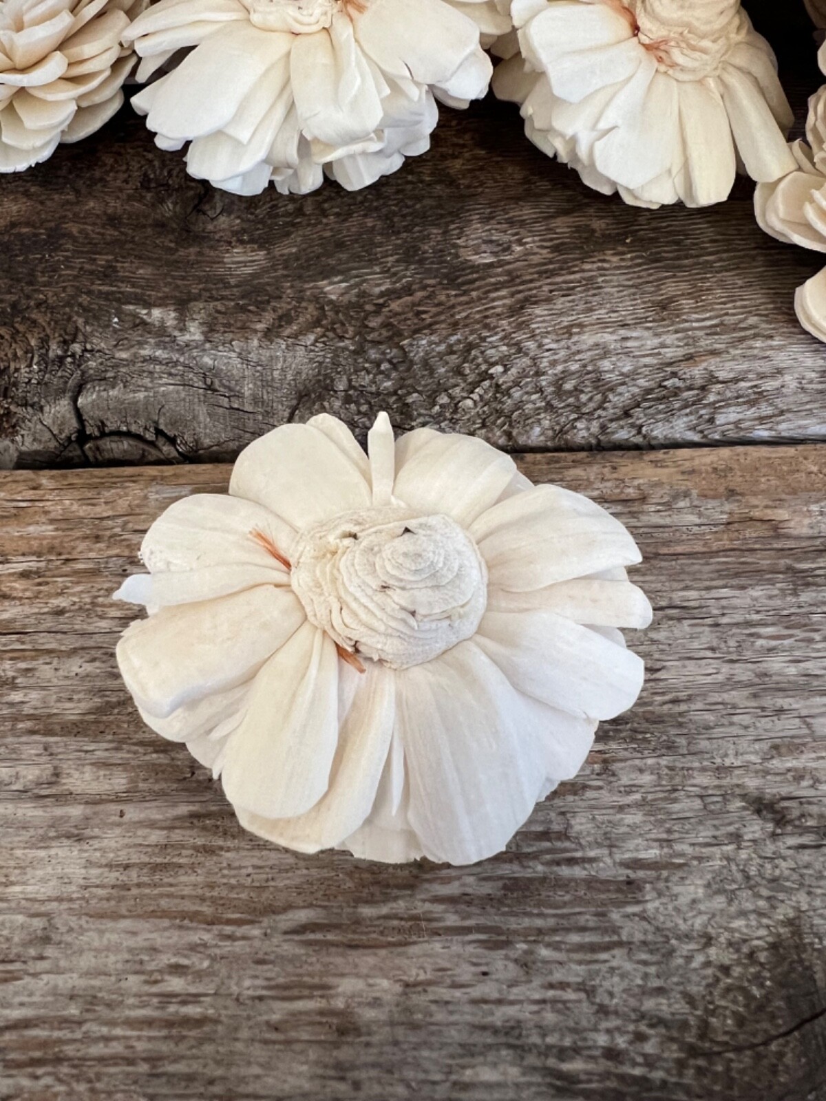 Ivory Belly Sola Wood Flowers – Set of 100 – Craft Flowers