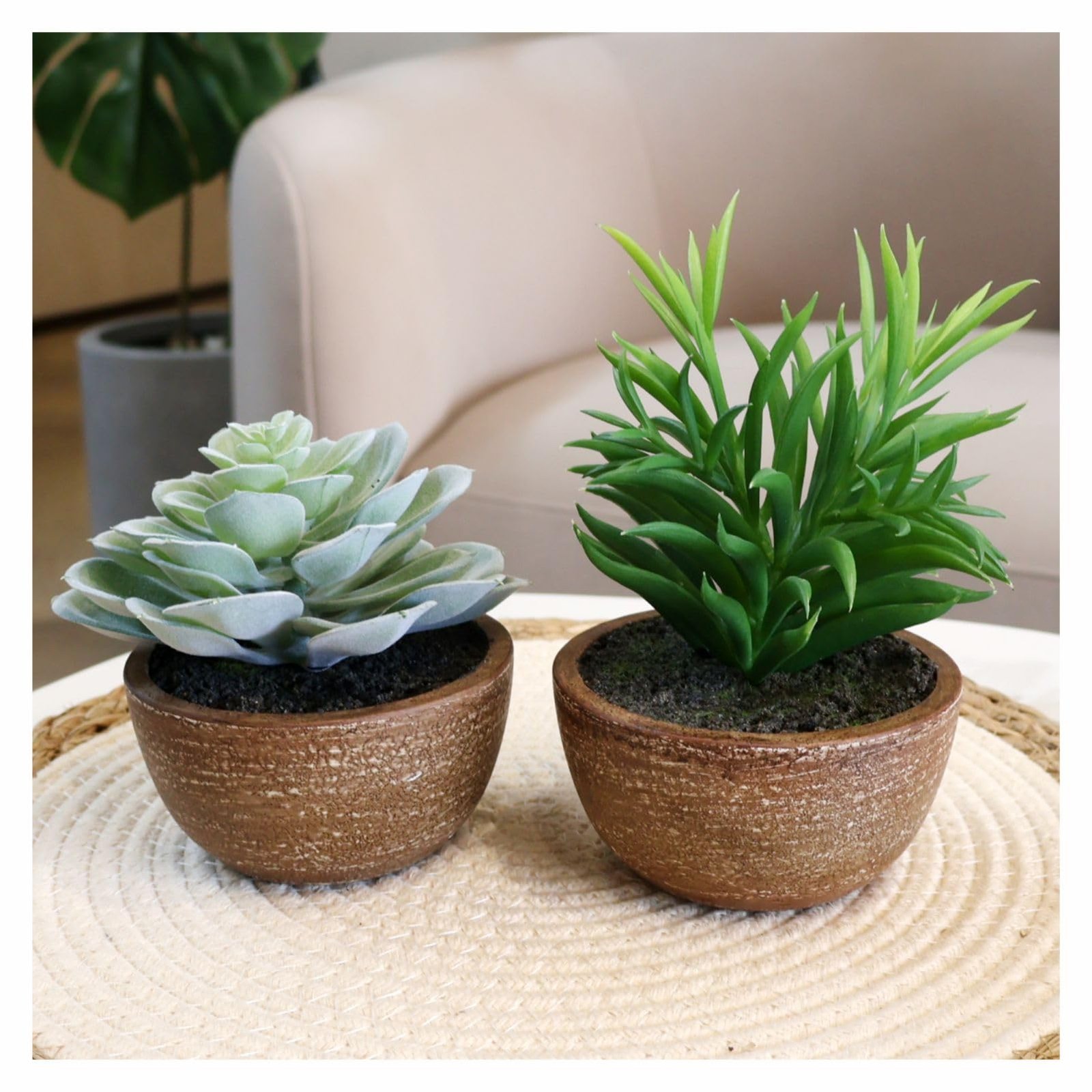 2 PCS Realistic Artificial Fake Plants Indoor With Pot Mini Succulents Desk