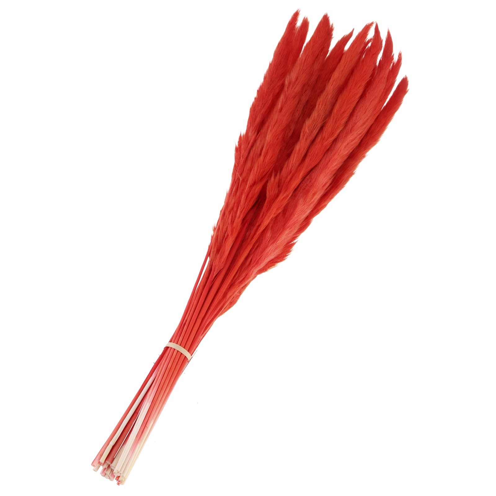 30 PCS 17 Inch Fake Red Pampas Grass Decor For Living Room Vase Party