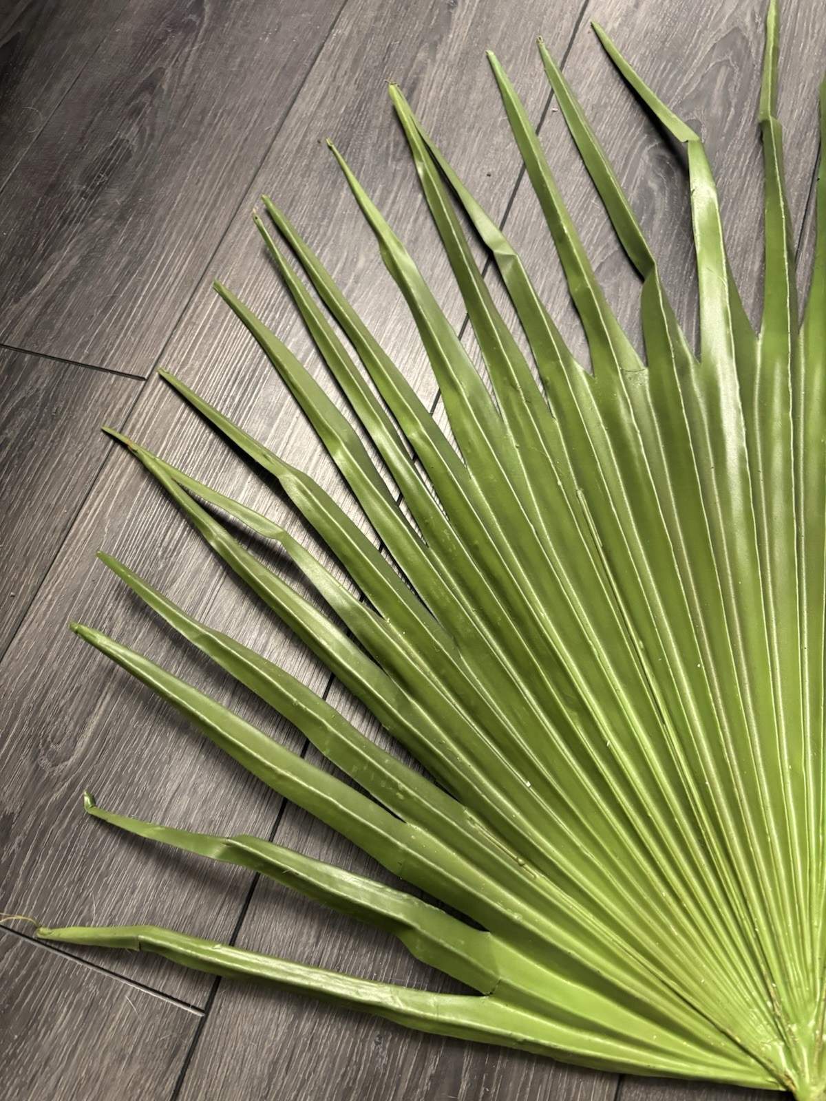 Large Fan Palm Leaf Stem 58” Tropical Boho Coastal Wedding Home Decor Prop