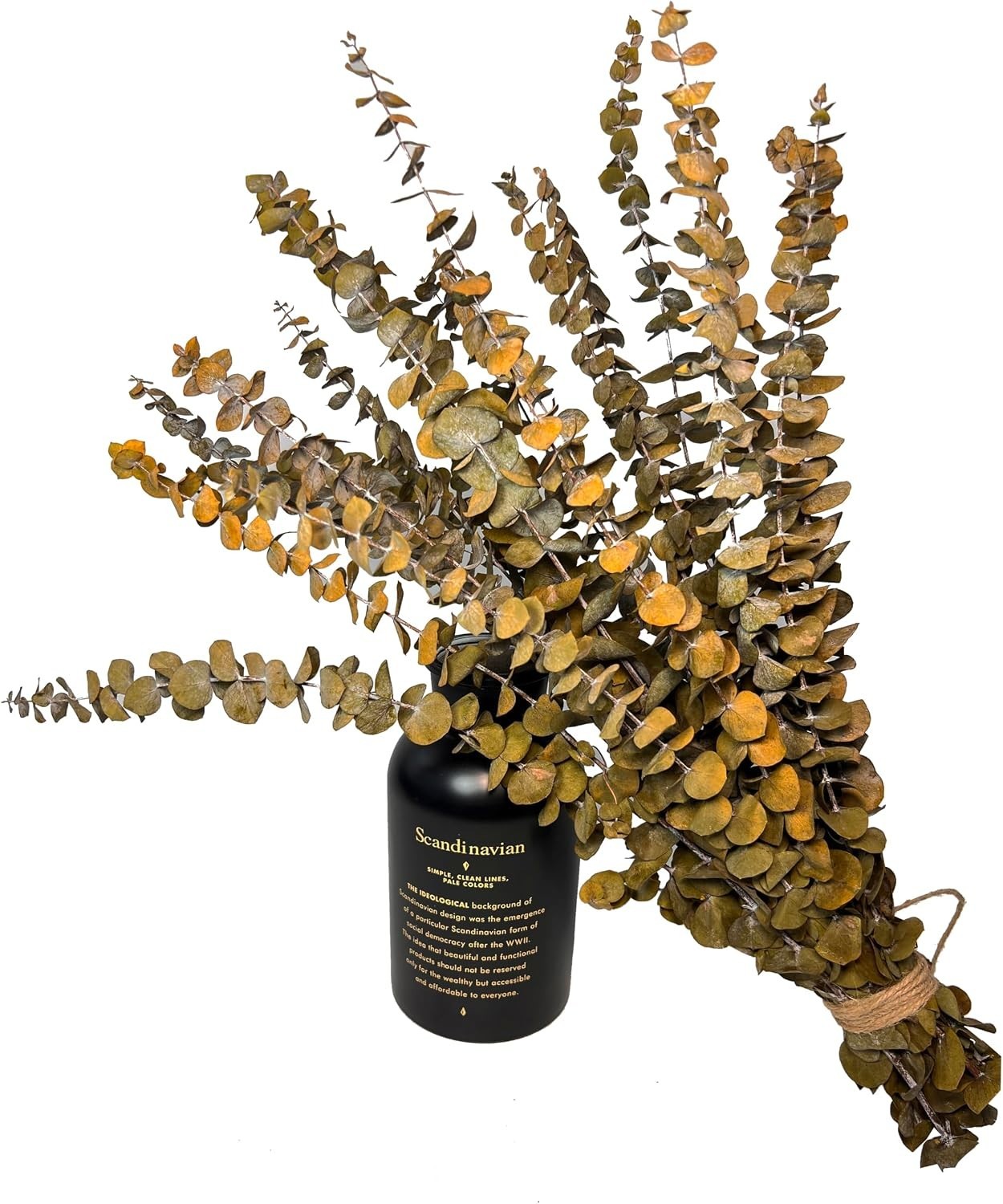 20Pcs Dried Eucalyptus Stems – Red, Real Long Eucalyptus, Dried Flowers for V…